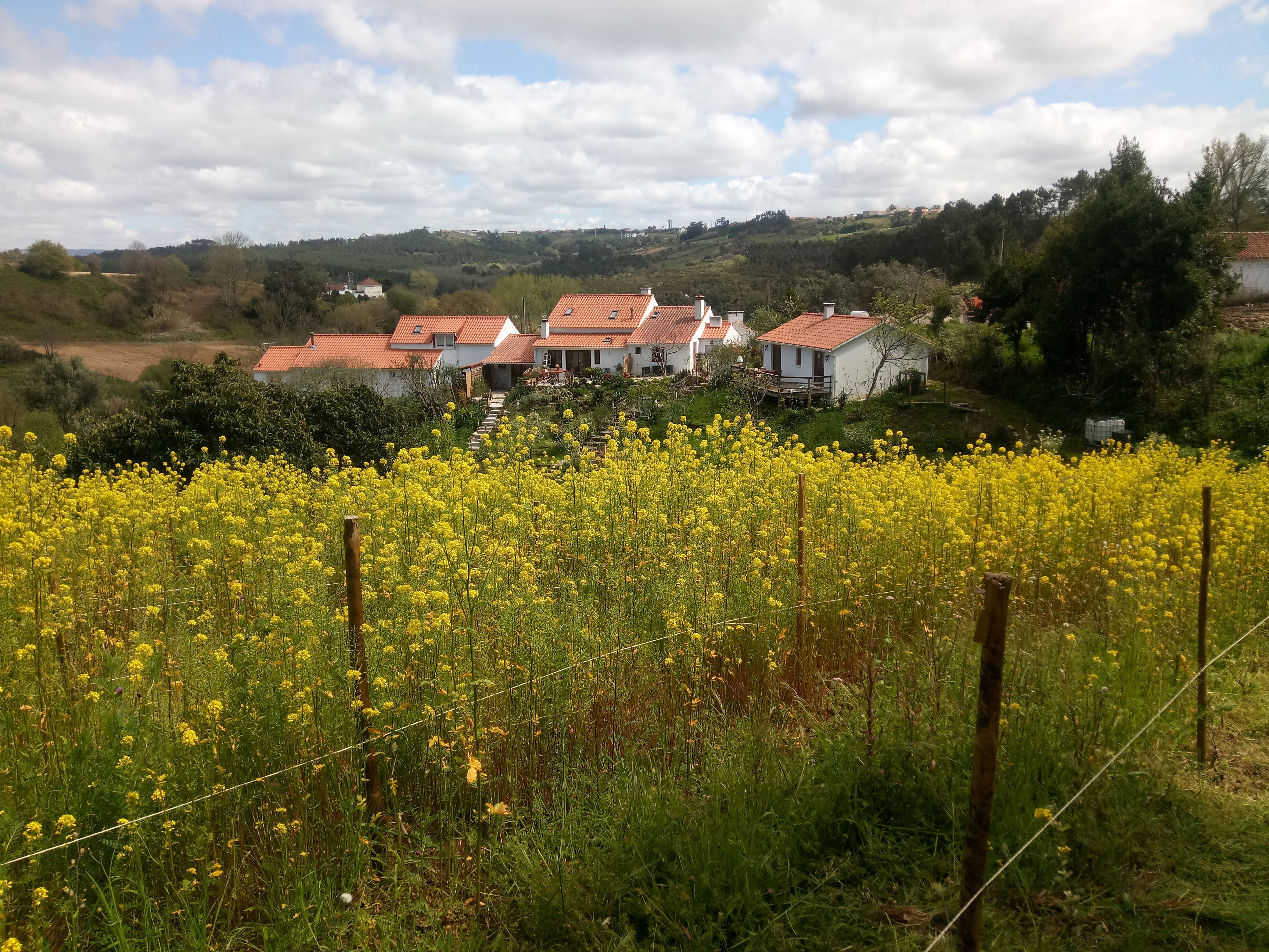 Casa nella natura a Alfeizerão