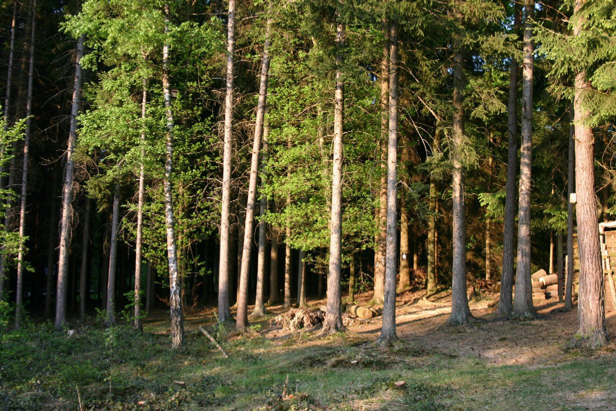- image: 26