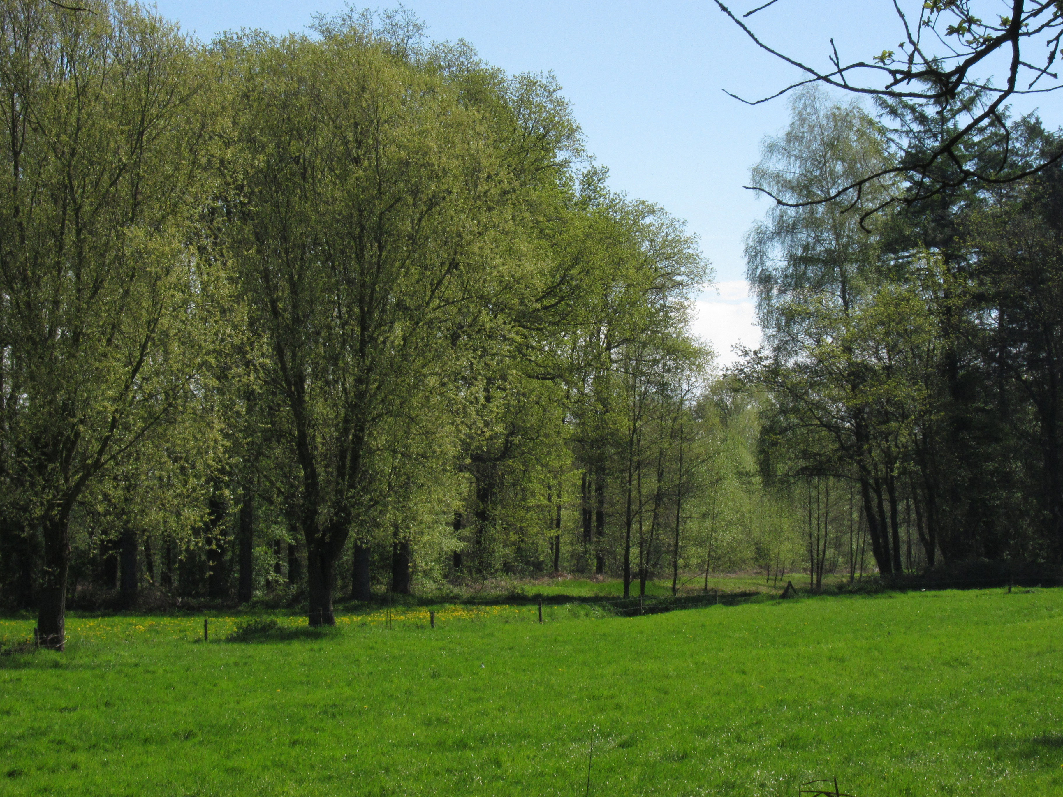 - image: 26