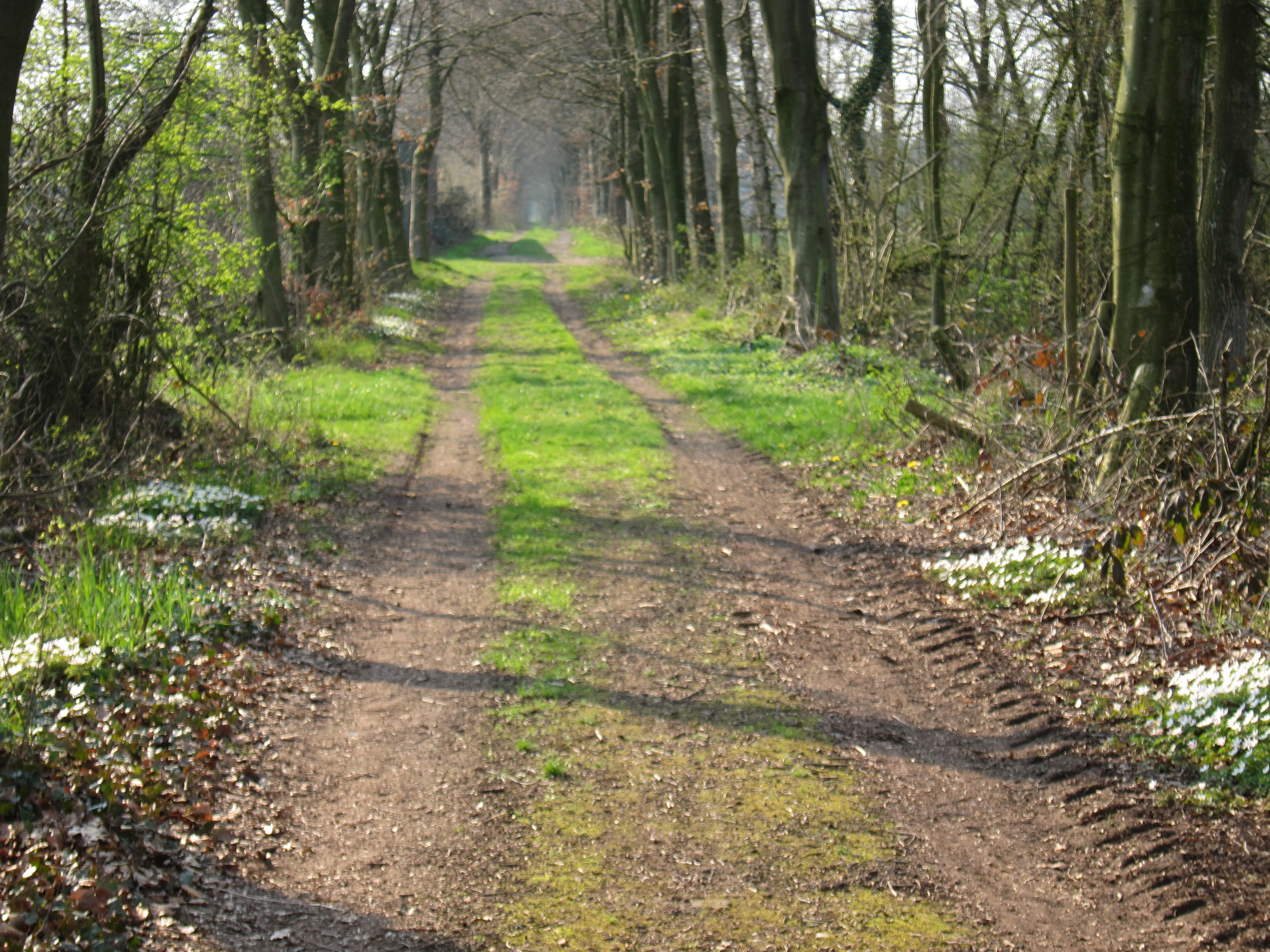Naturhäuschen in Leuvenheim