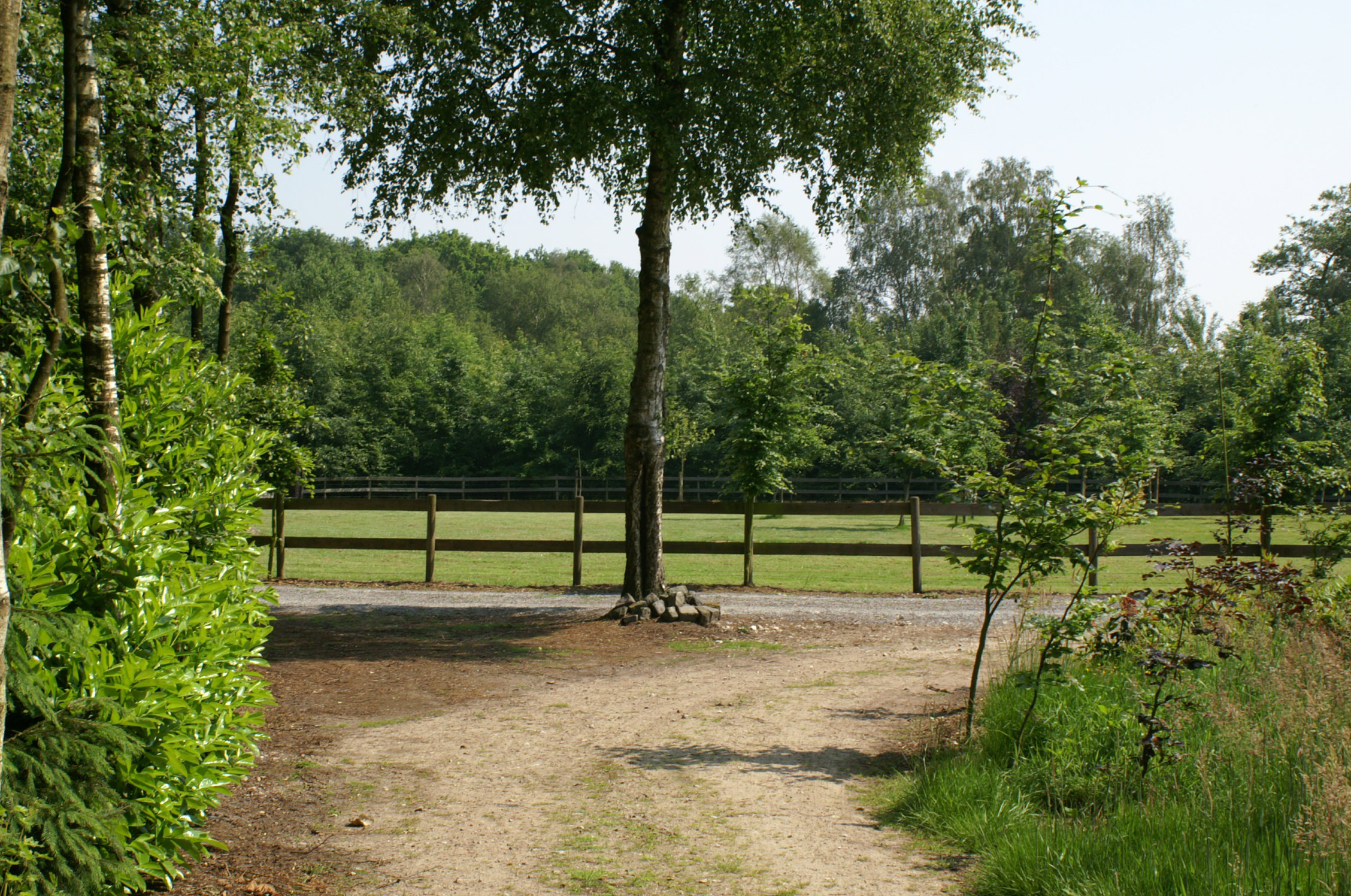 - image: 22