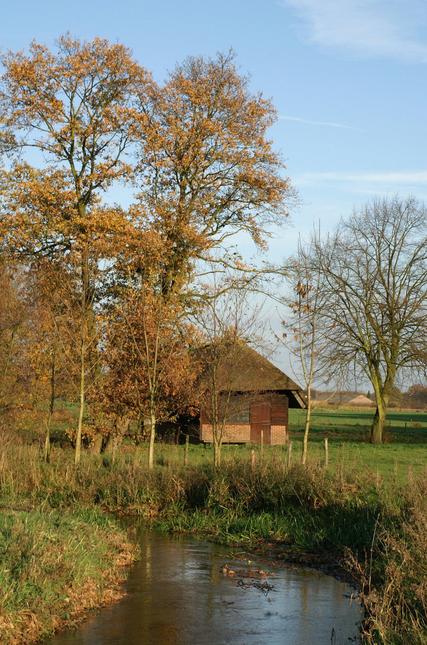 - image: 15