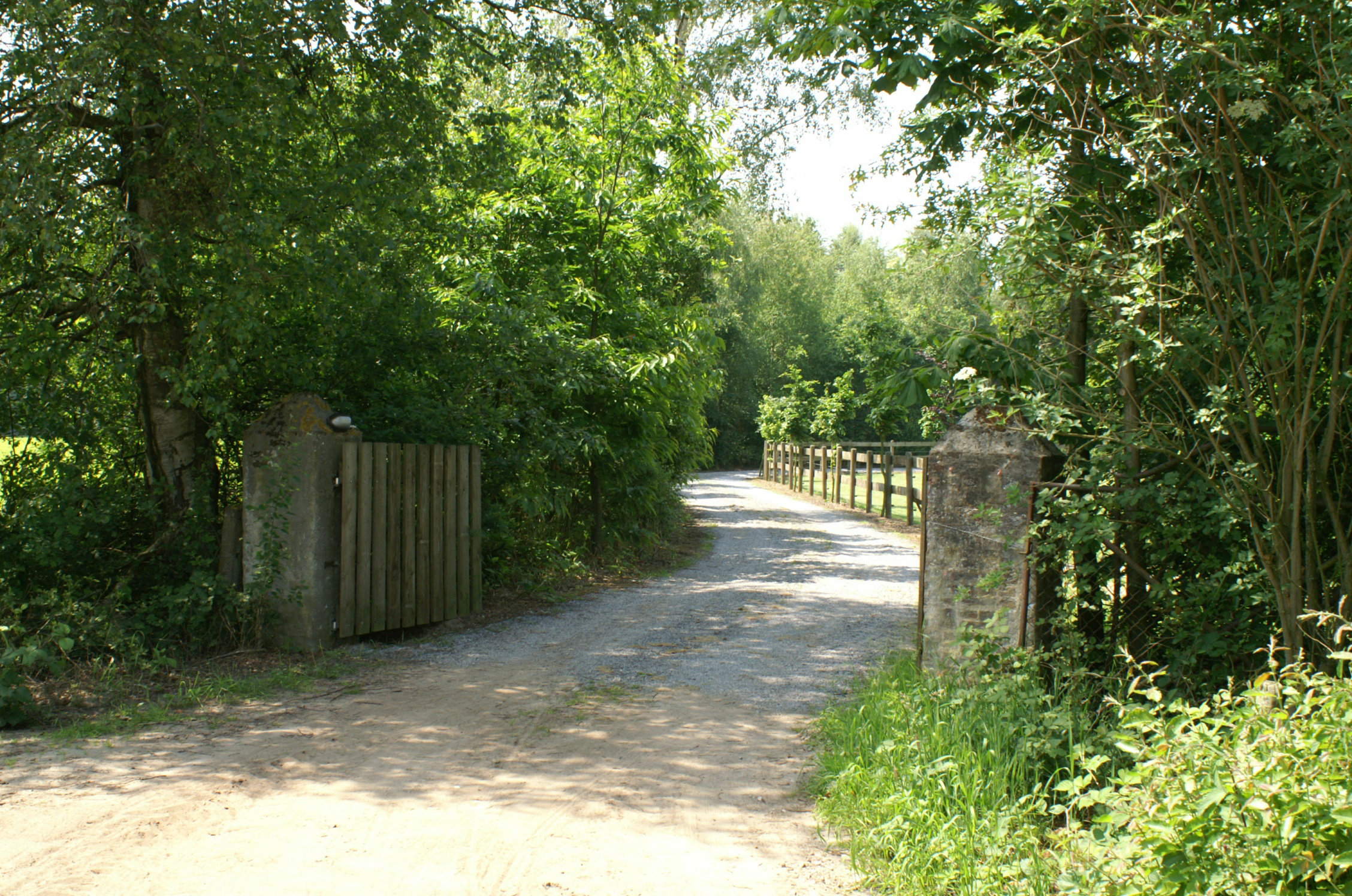 - image: 16