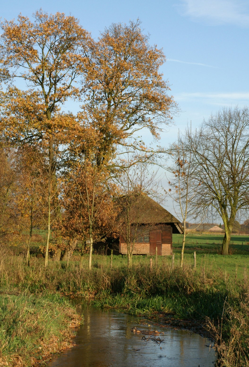 - image: 24