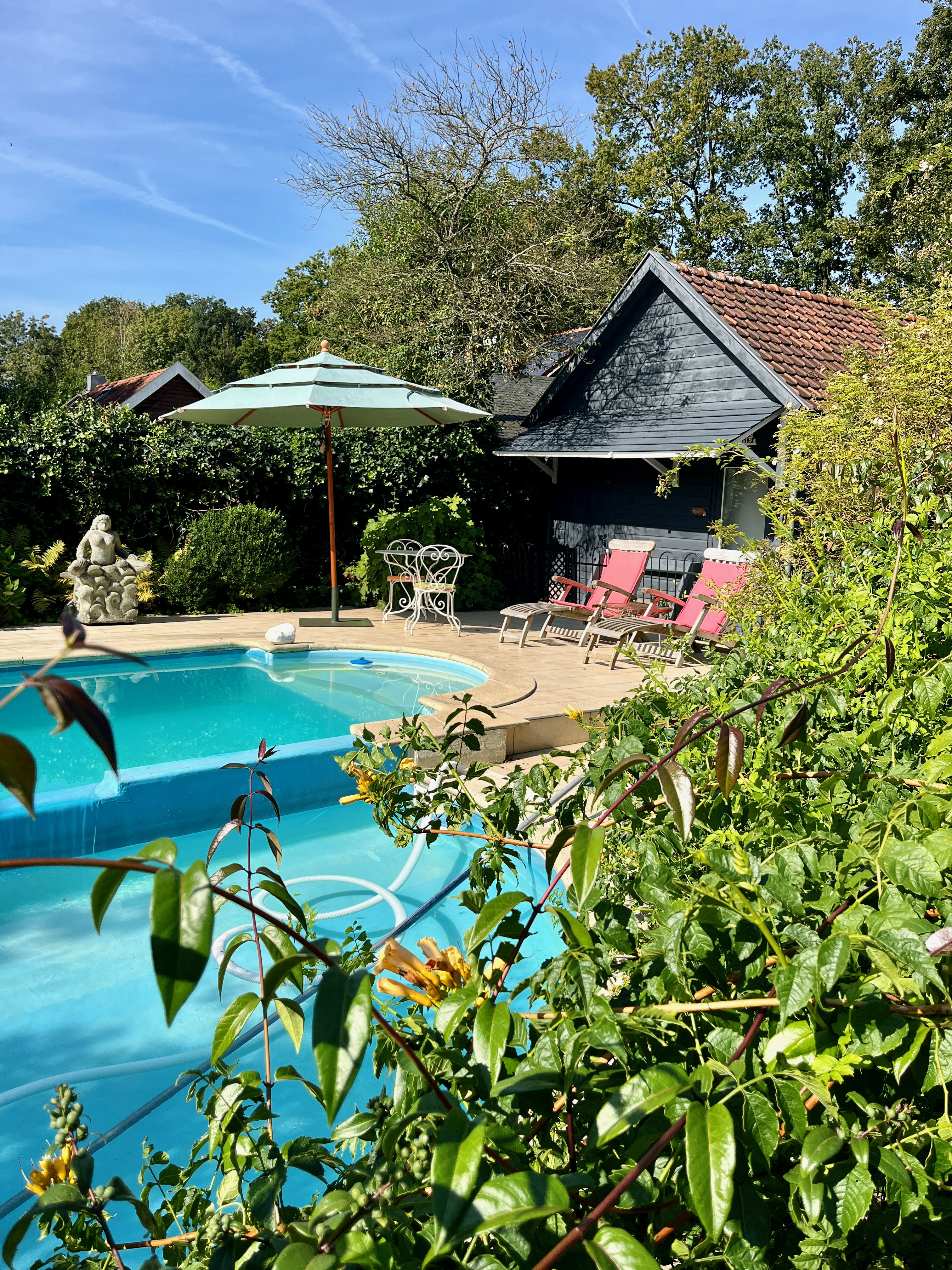 Natuurhuisje in Den Dolder