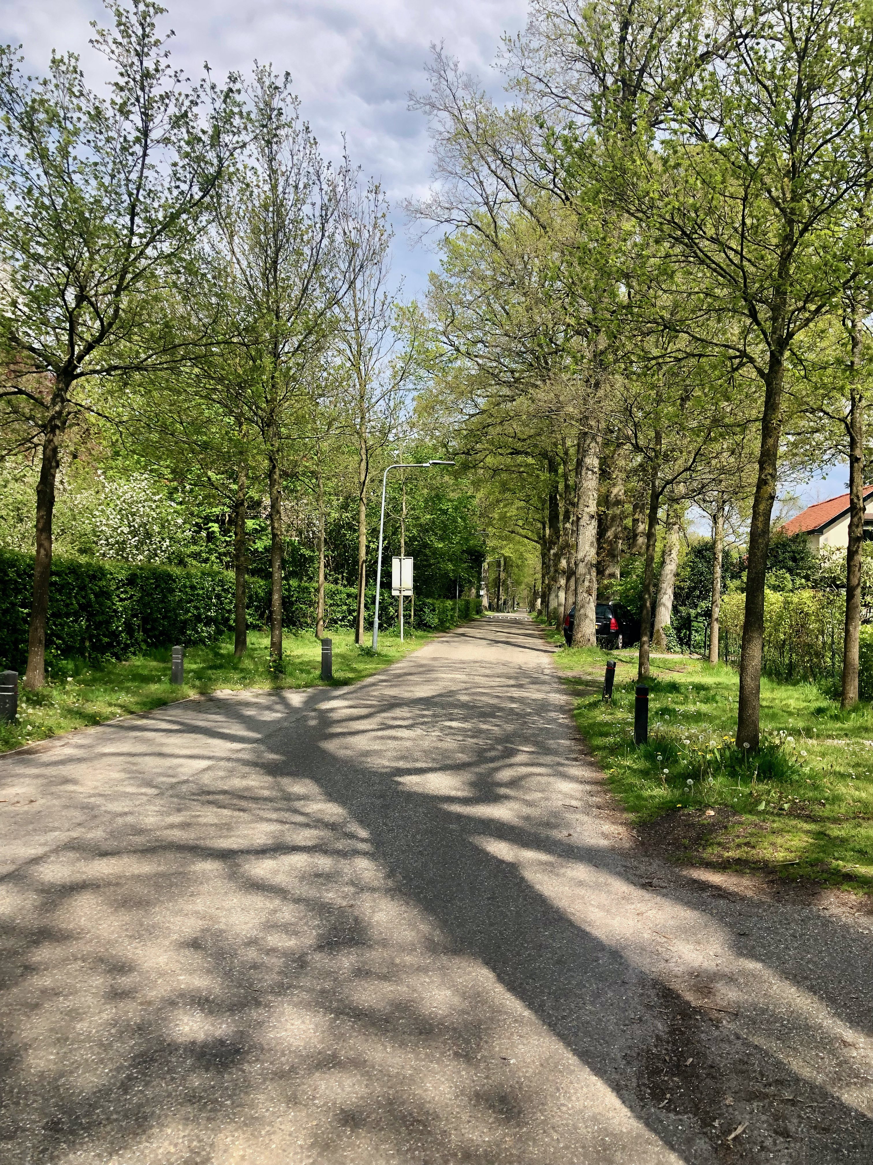 - image: 29