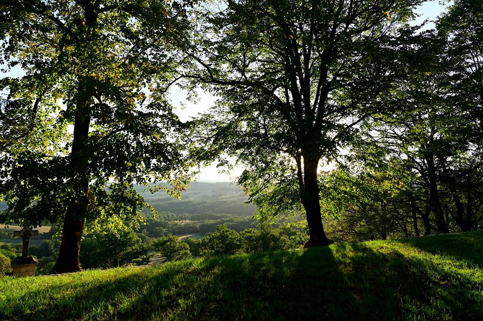 - image: 14