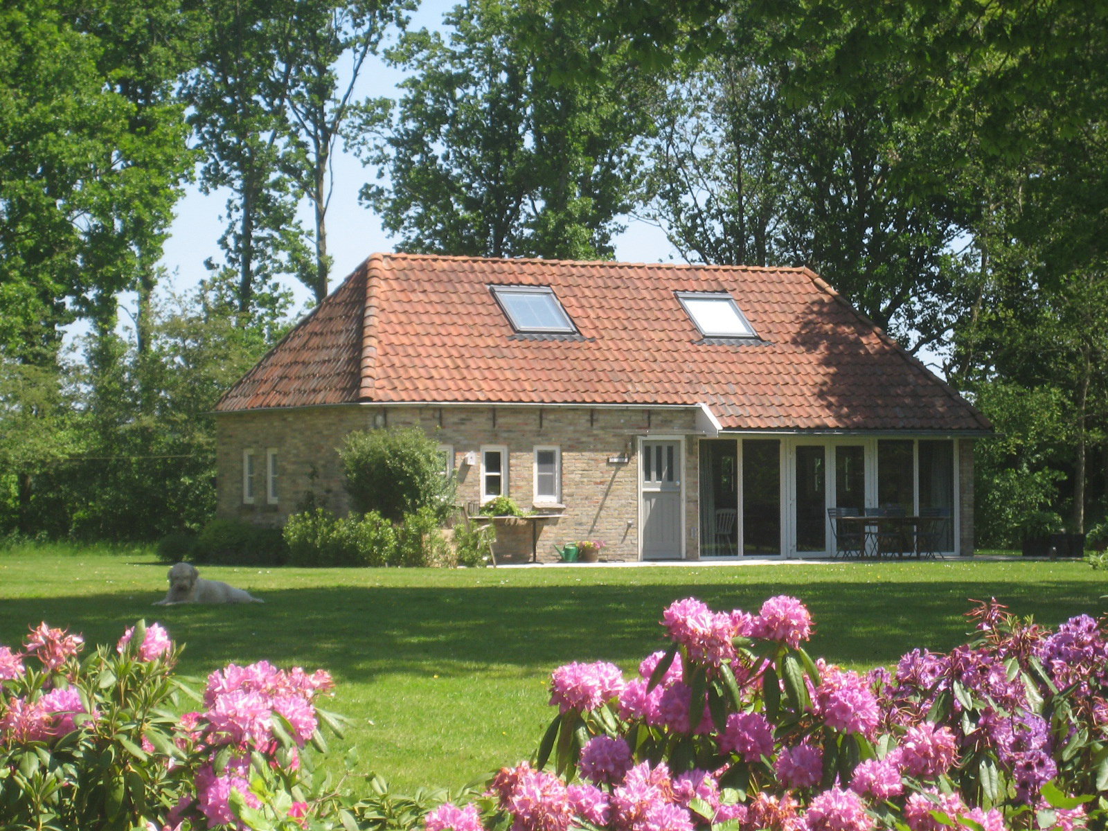 Maison nature à Wijnjewoude (buitengebied van Bakkeveen)