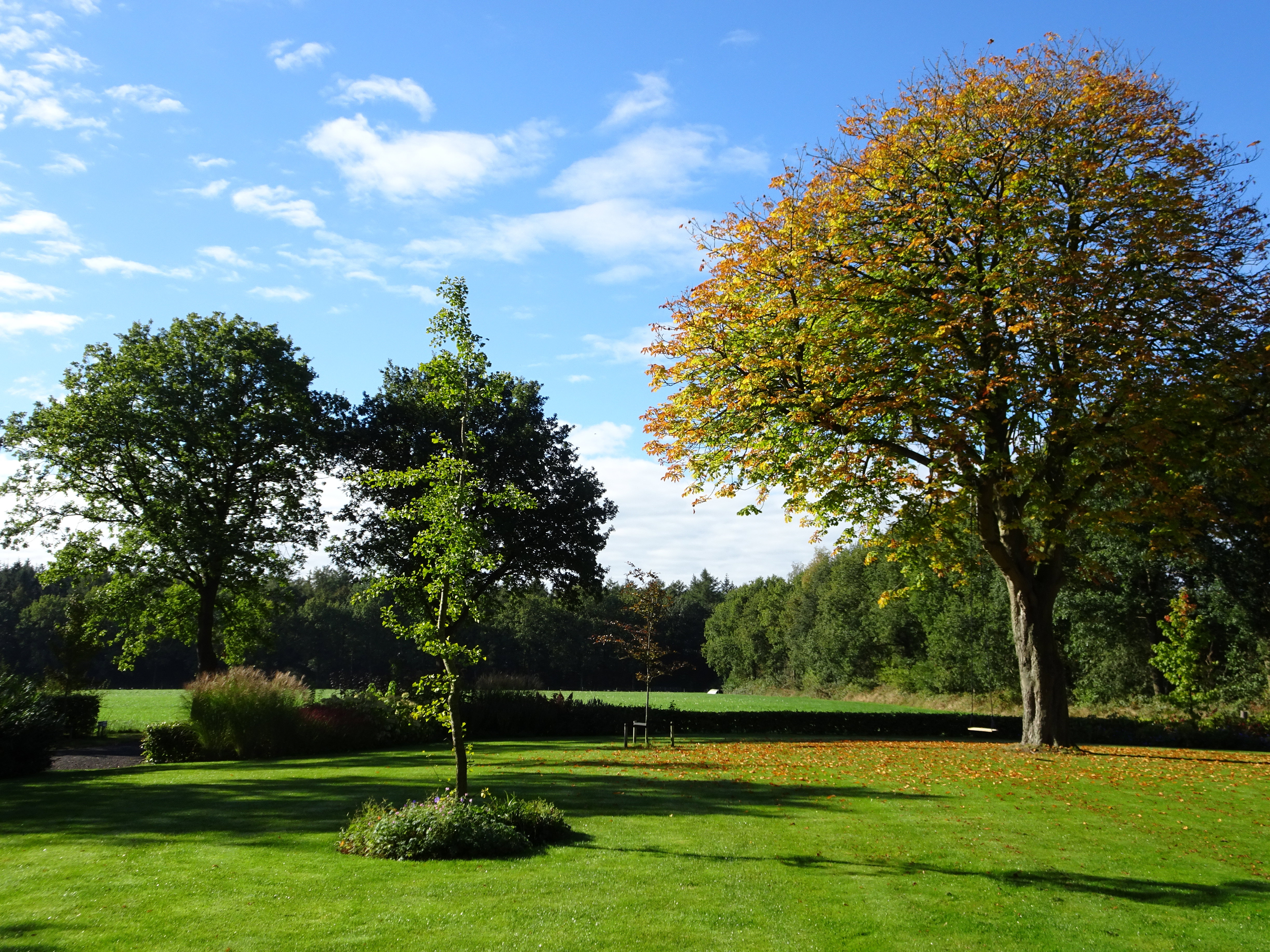 Maison nature à Wijnjewoude (buitengebied van Bakkeveen)