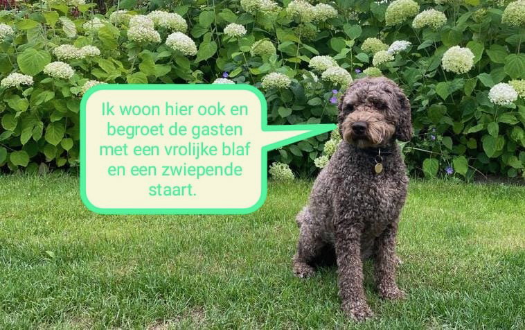 Casa nella natura a Wijnjewoude (buitengebied van Bakkeveen)