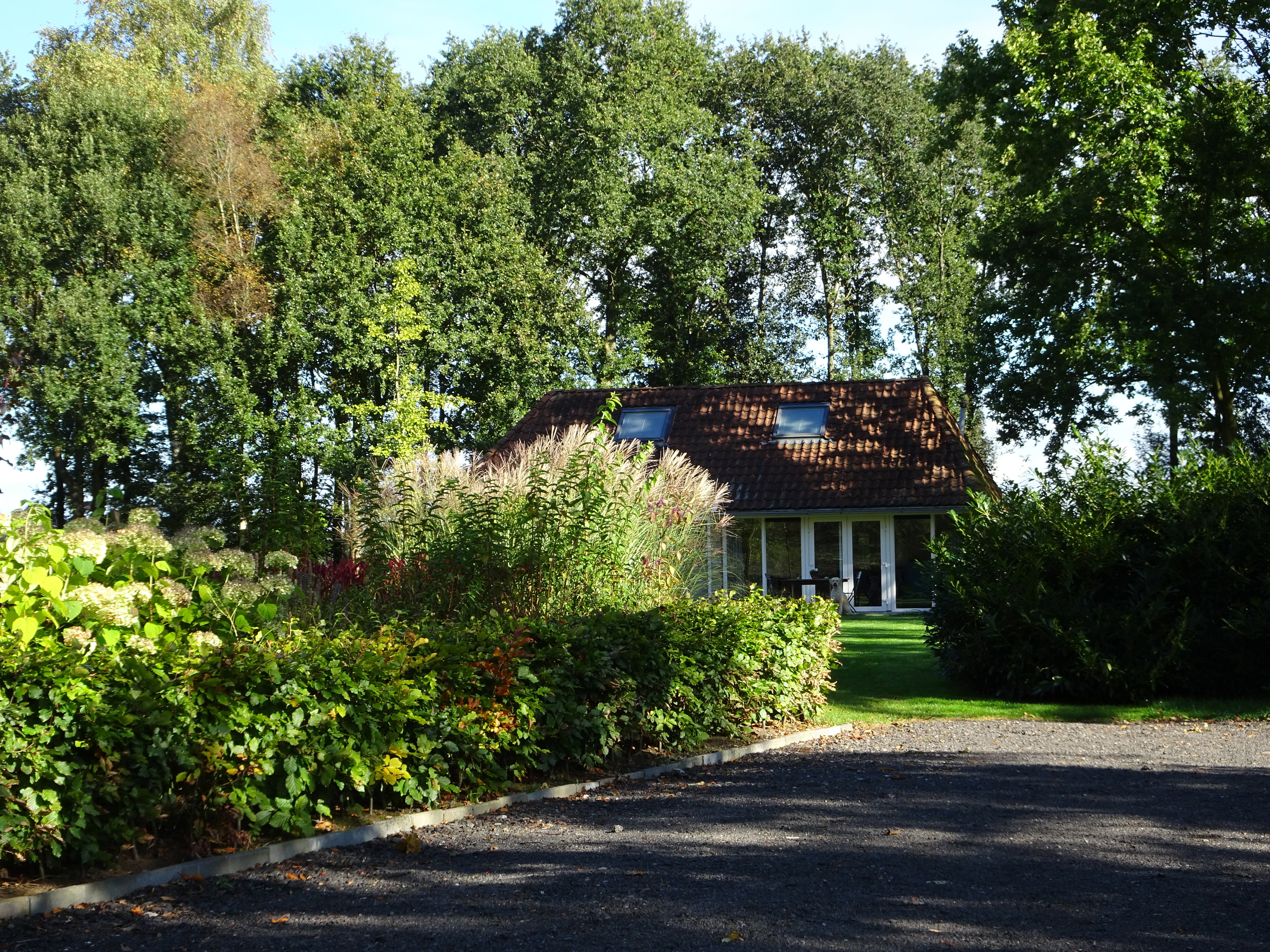 Maison nature à Wijnjewoude (buitengebied van Bakkeveen)