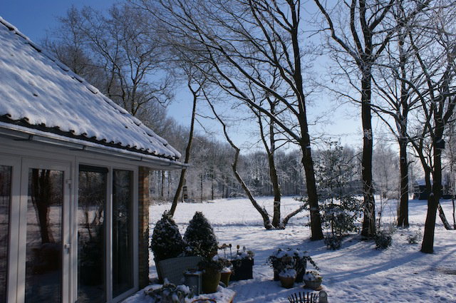 - image: 25