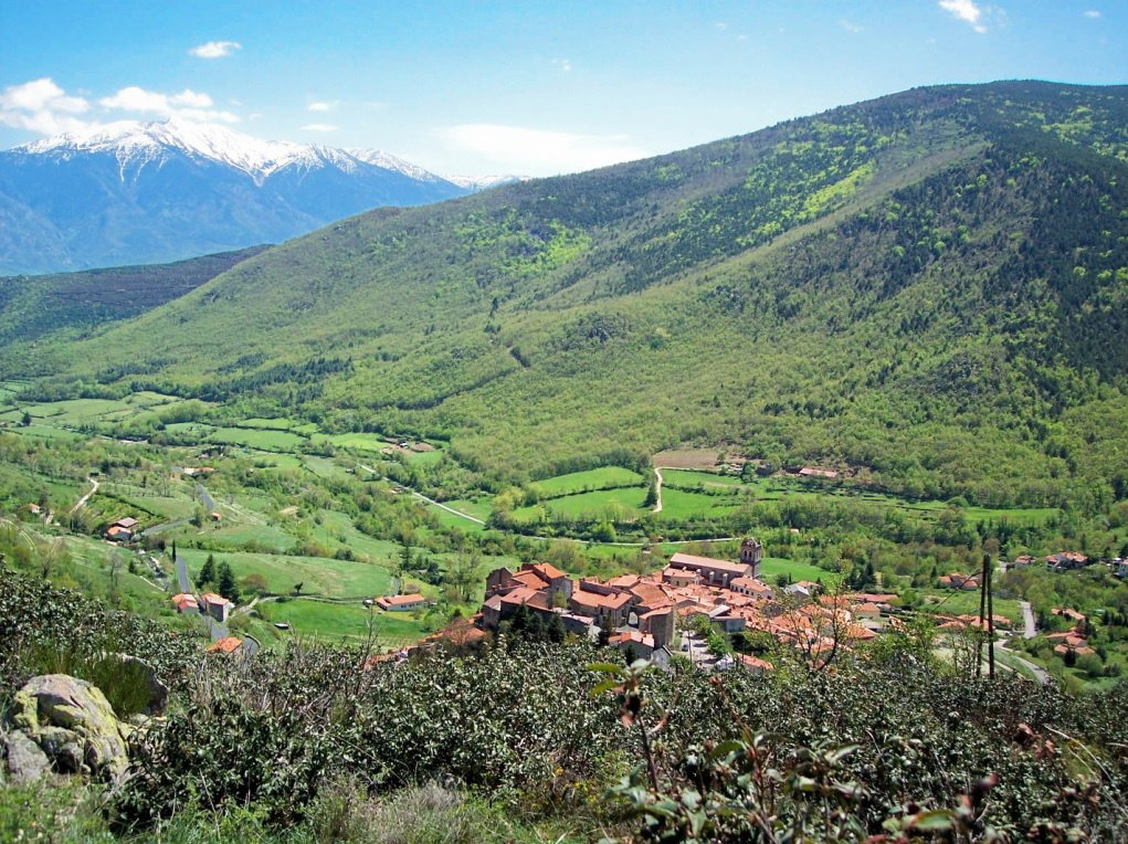 - image: 23