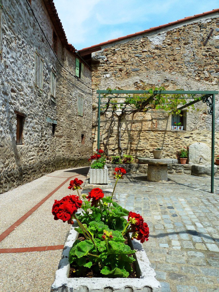 - image: 22