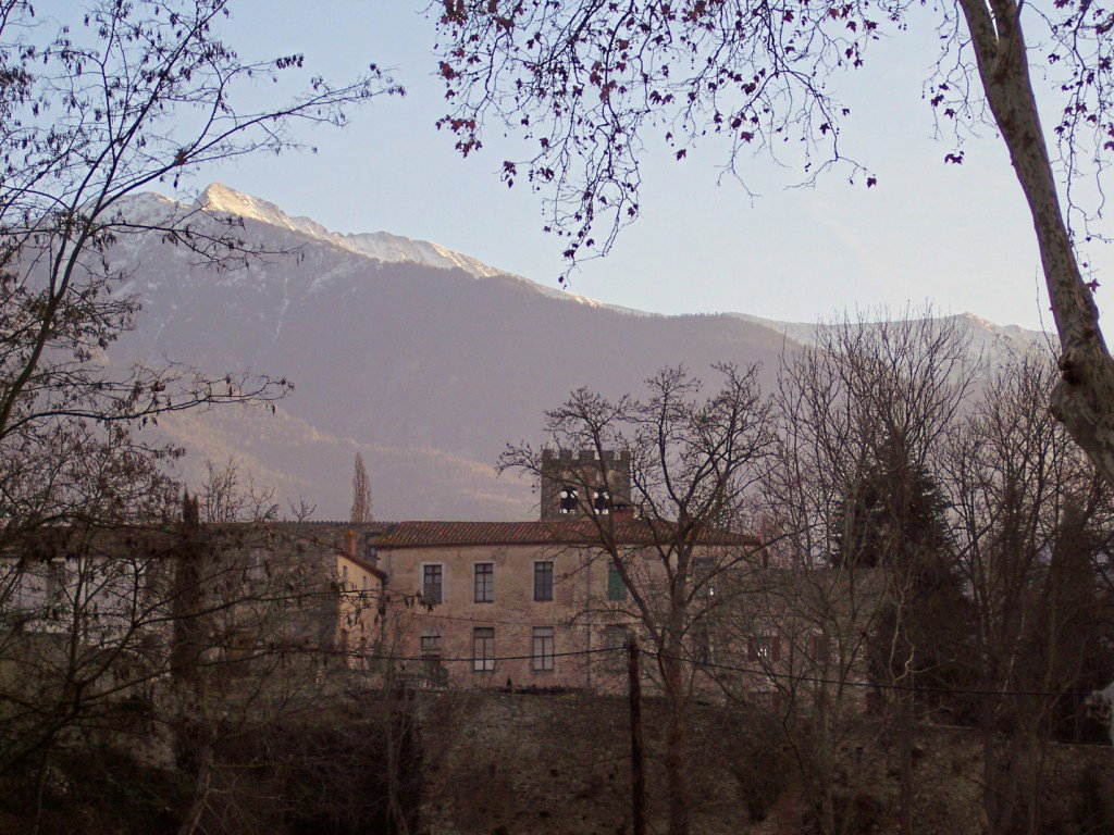 - image: 13