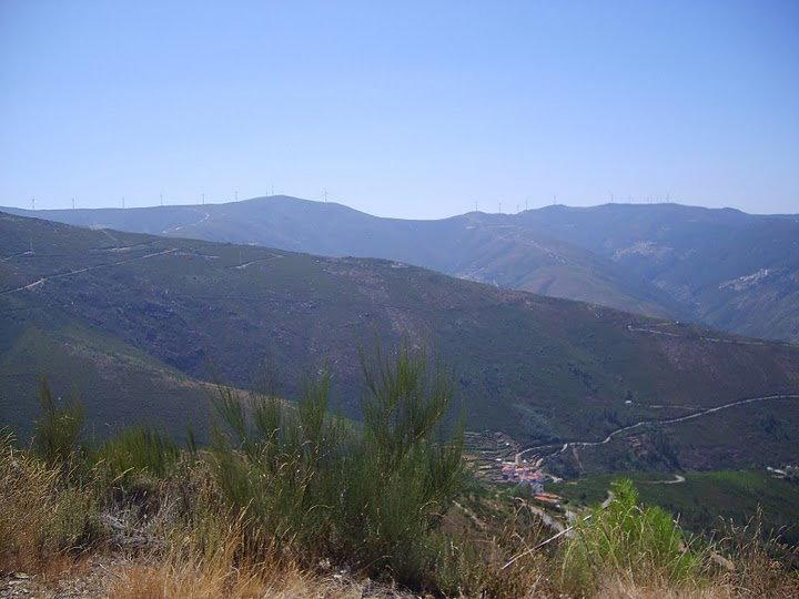 - image: 22