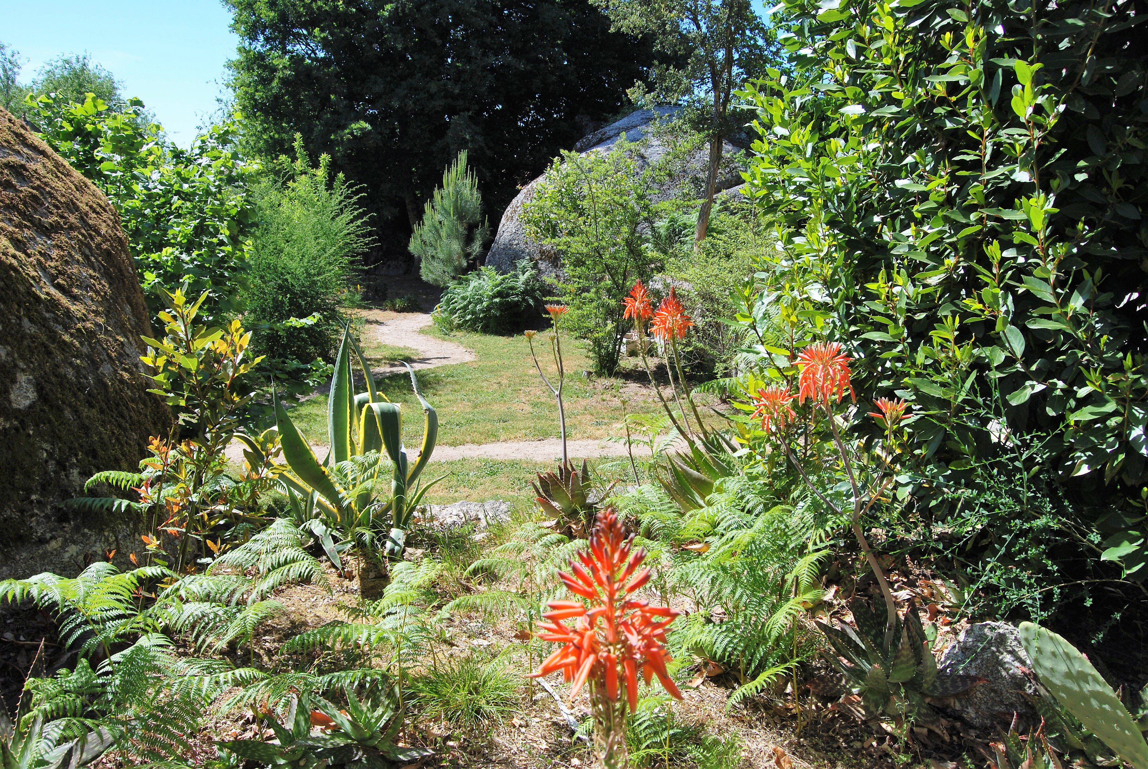 Natuurhuisje in Povoa de Midoes      (Tabua)