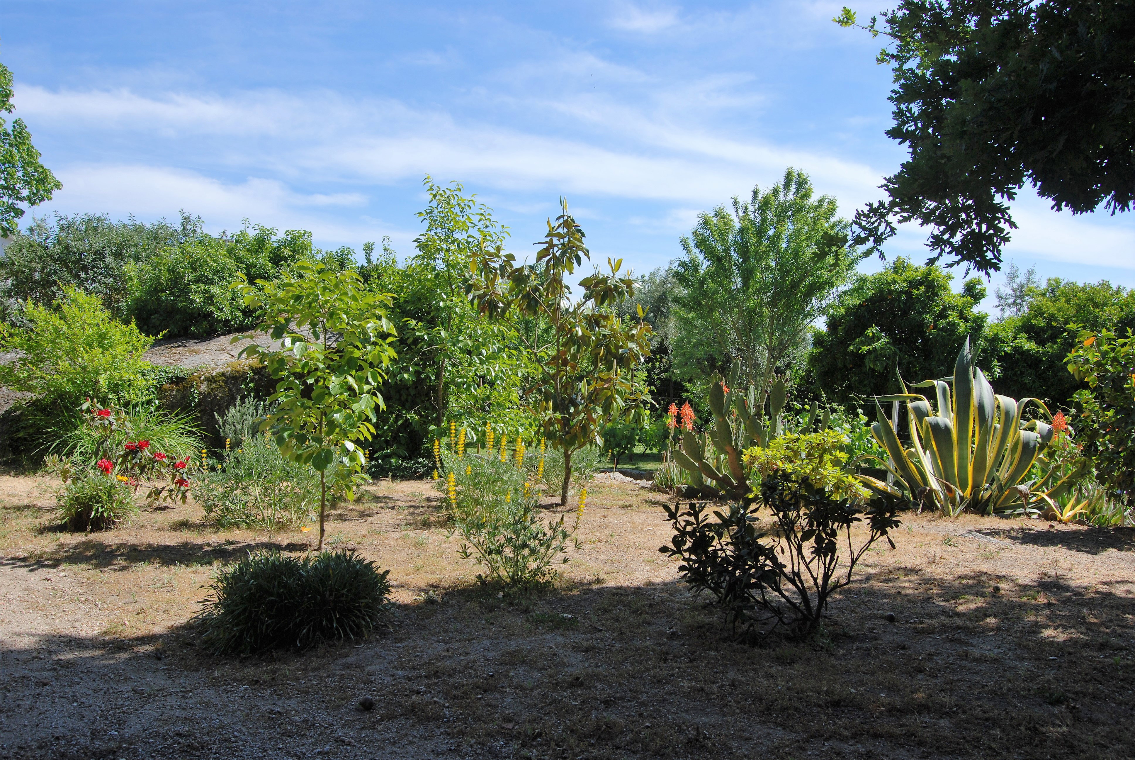 Natuurhuisje in Povoa de Midoes      (Tabua)