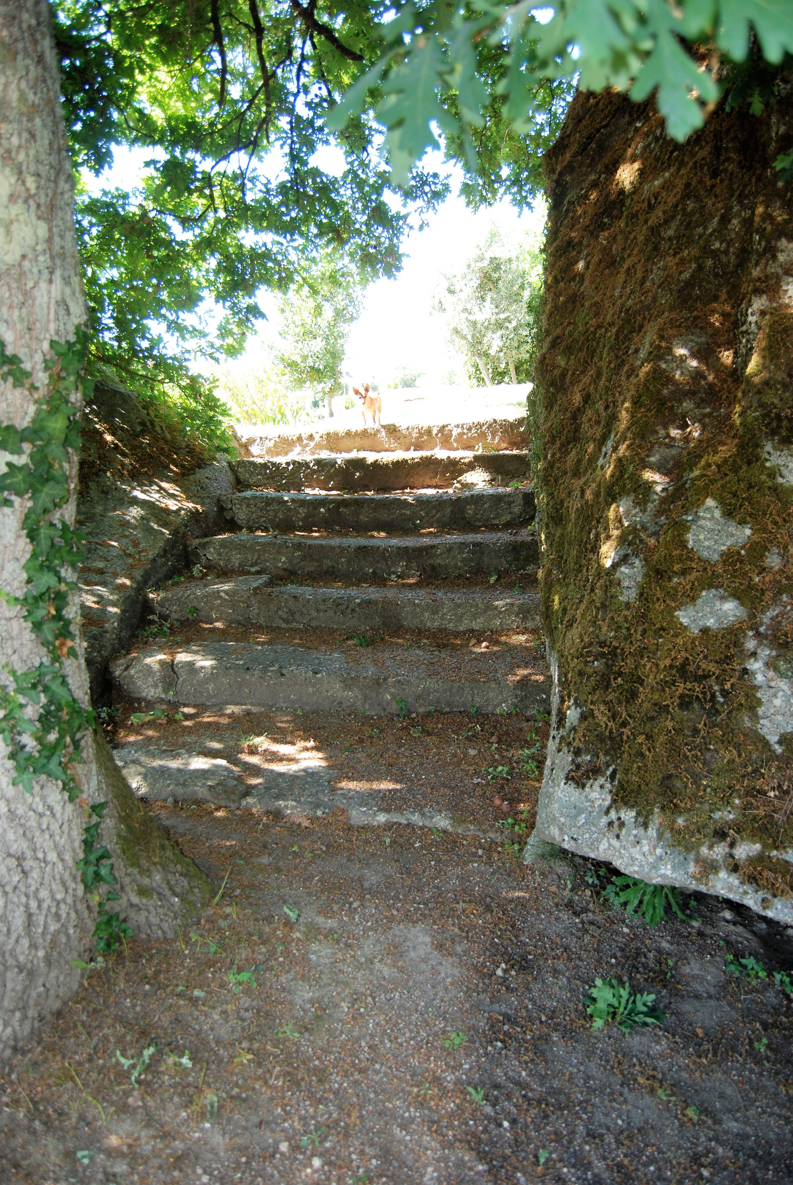 Natuurhuisje in Povoa de Midoes      (Tabua)