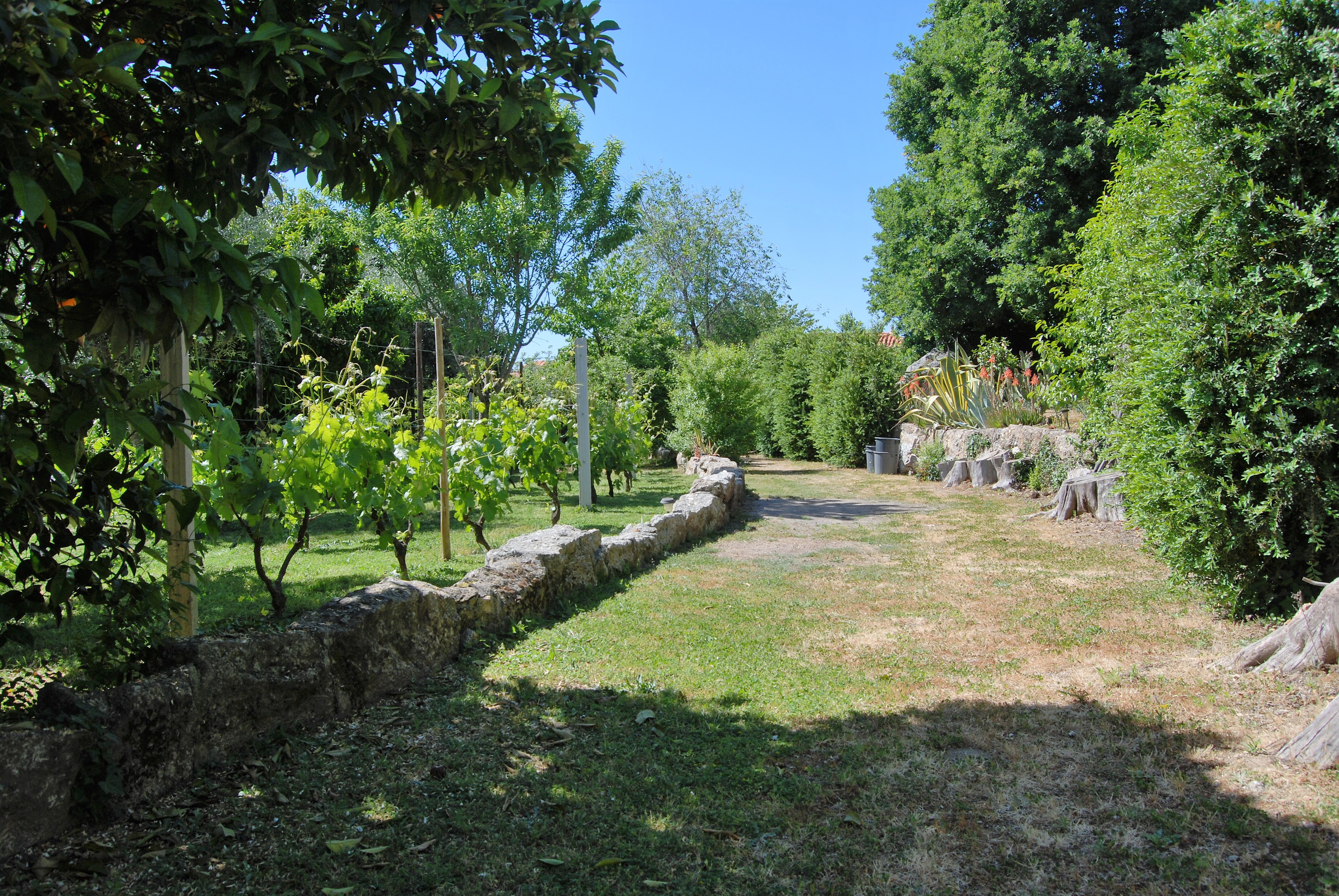 Natuurhuisje in Povoa de Midoes      (Tabua)