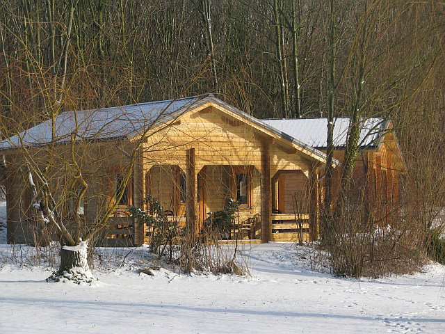 - image: 11