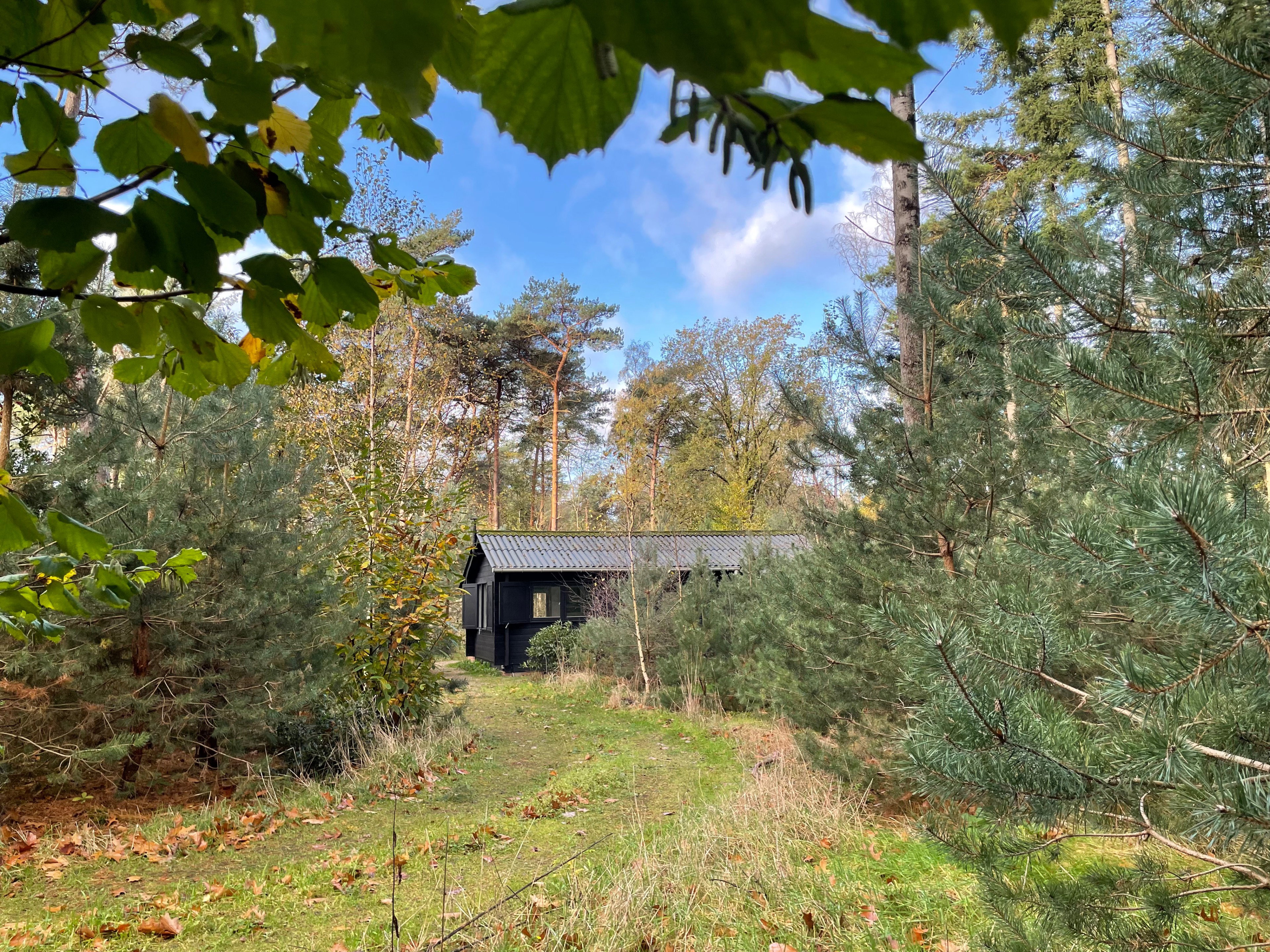Casa nella natura a Holten