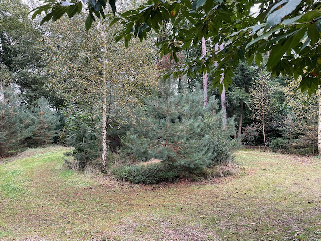 Casa nella natura a Holten