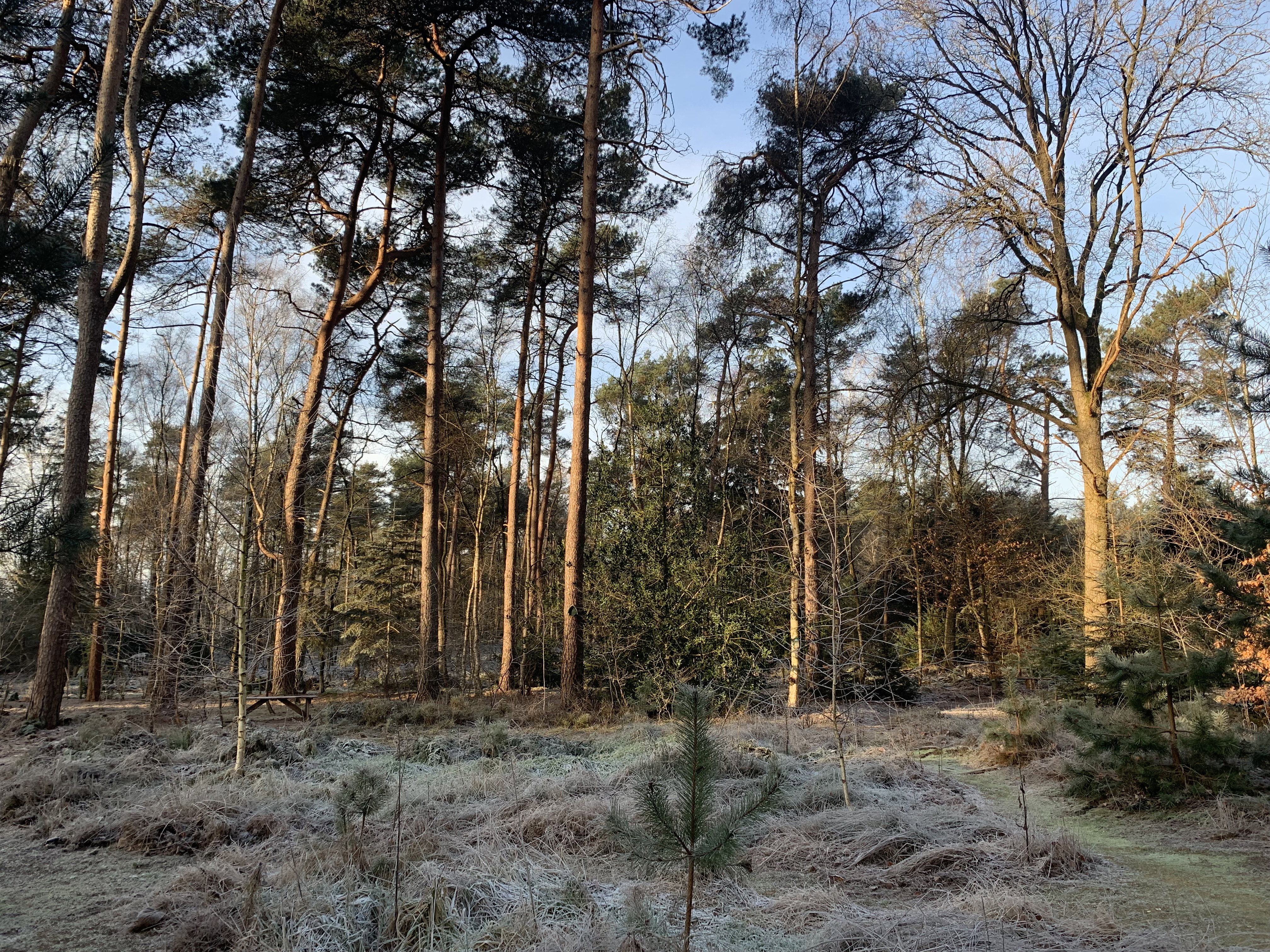 Naturhäuschen in Holten