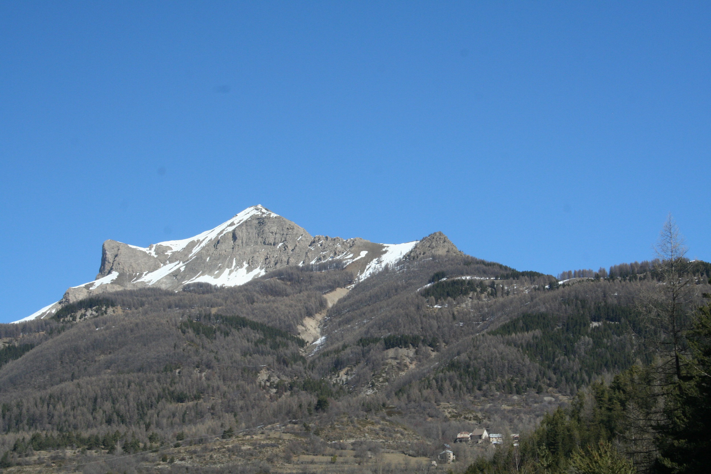 - image: 12