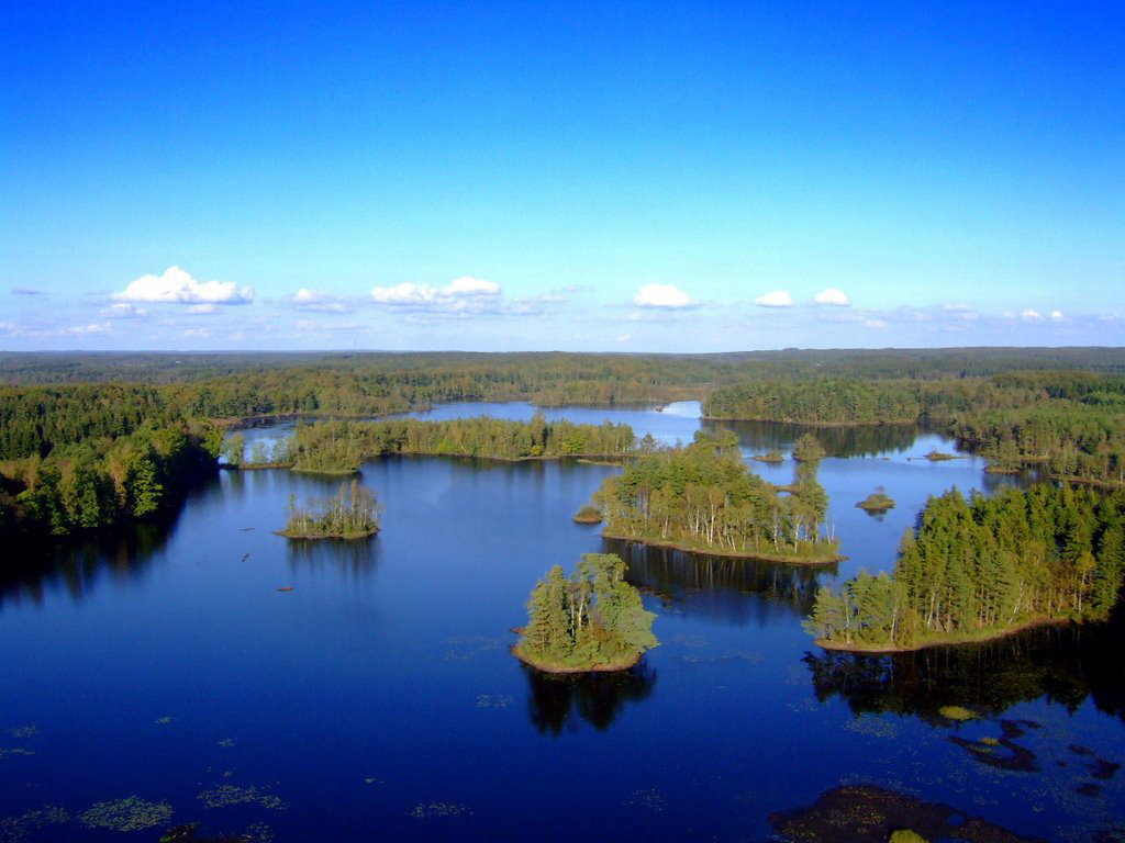 - image: 12