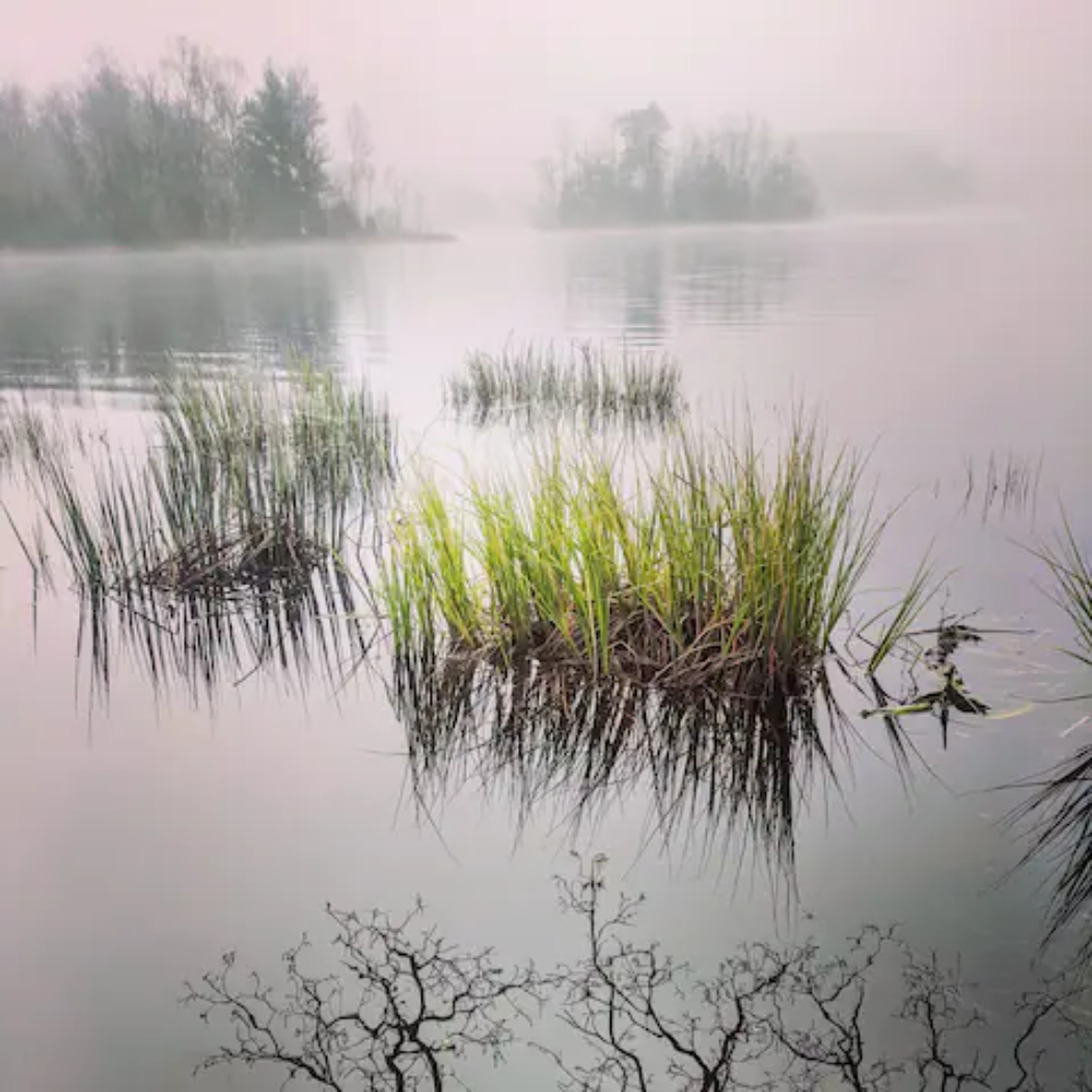 - image: 23