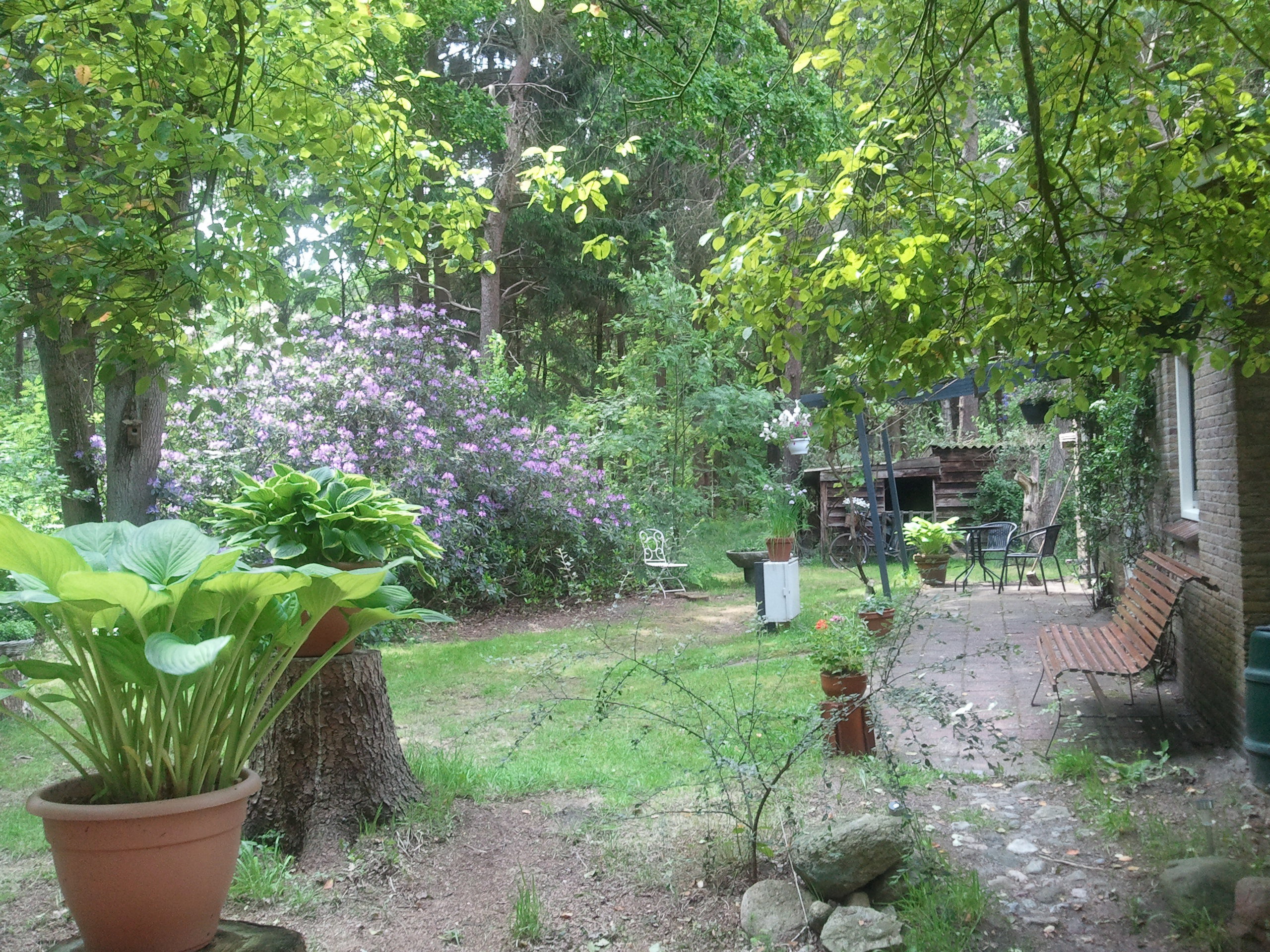 Naturhäuschen in Ansen