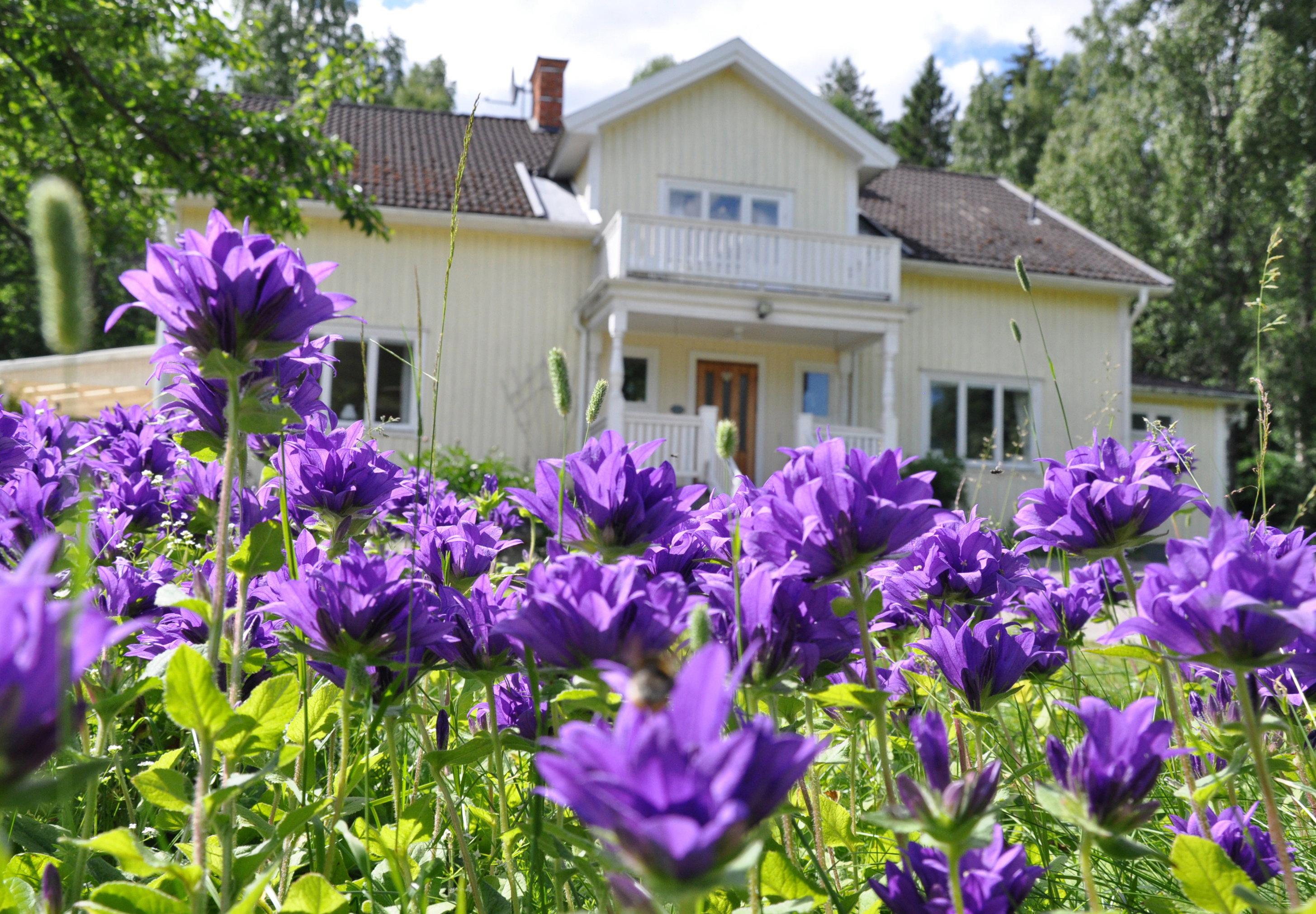 Naturhäuschen in Hällsjö - Skultuna