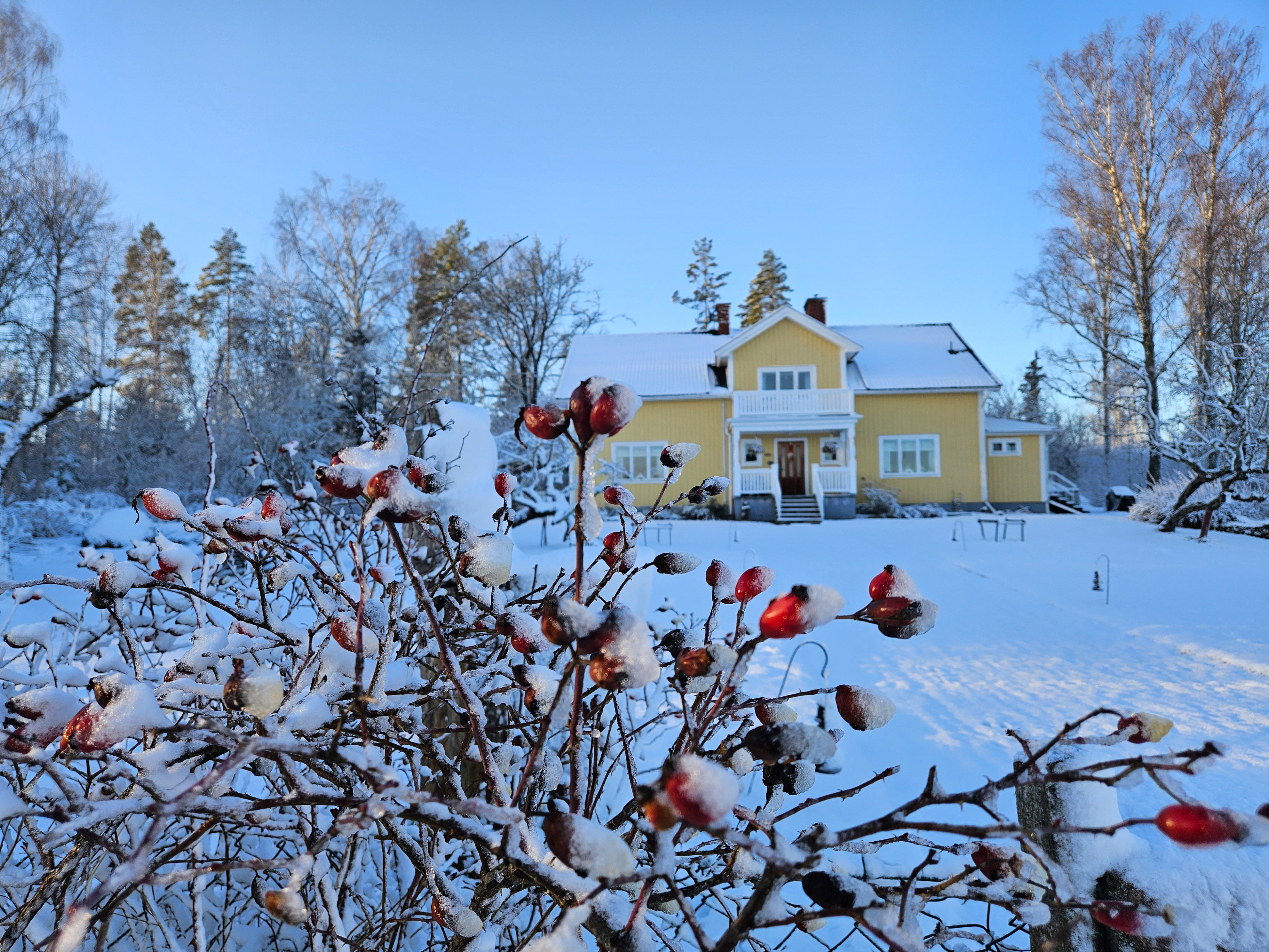 Casa nella natura a Hällsjö - Skultuna
