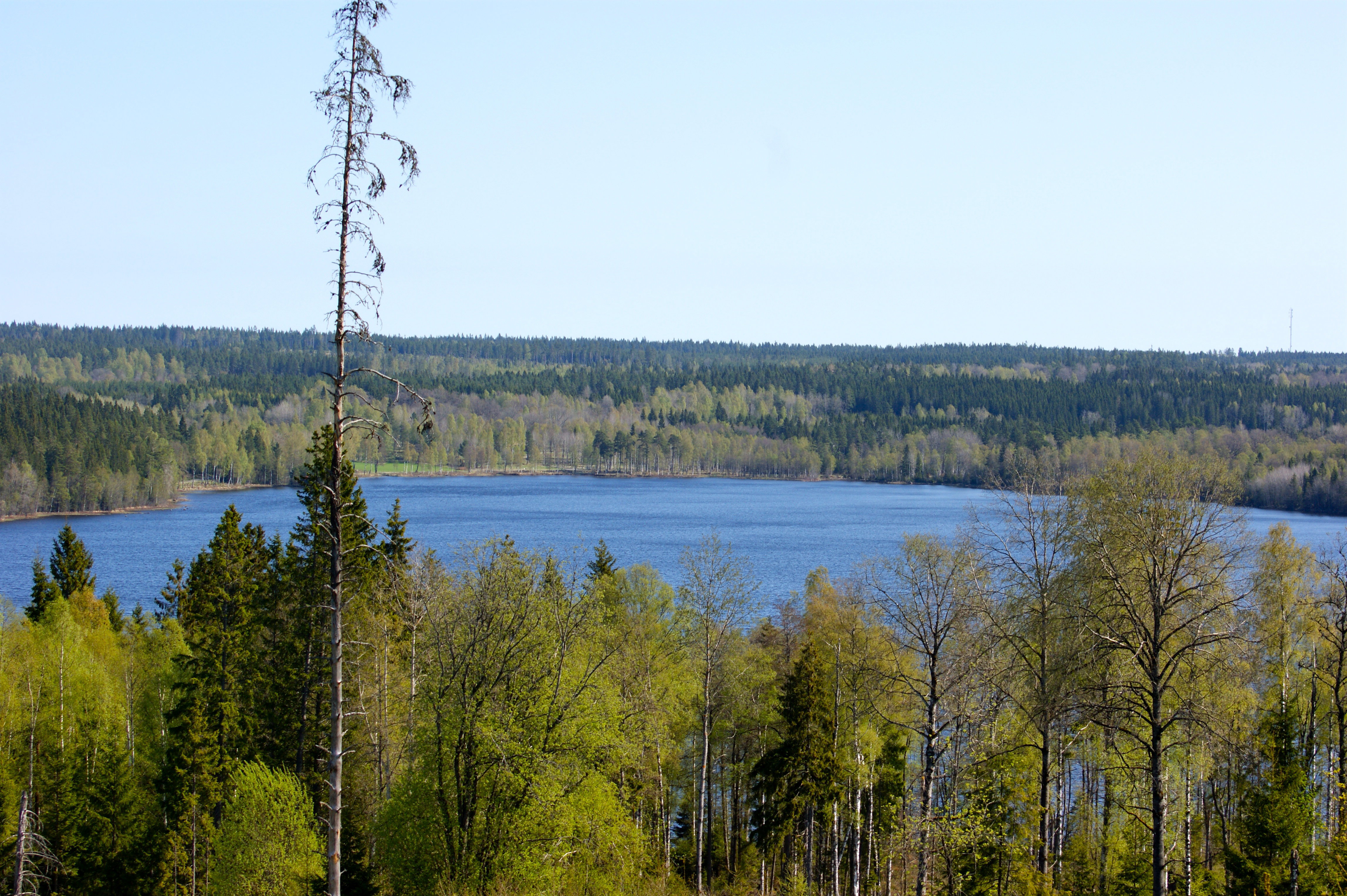 - image: 11