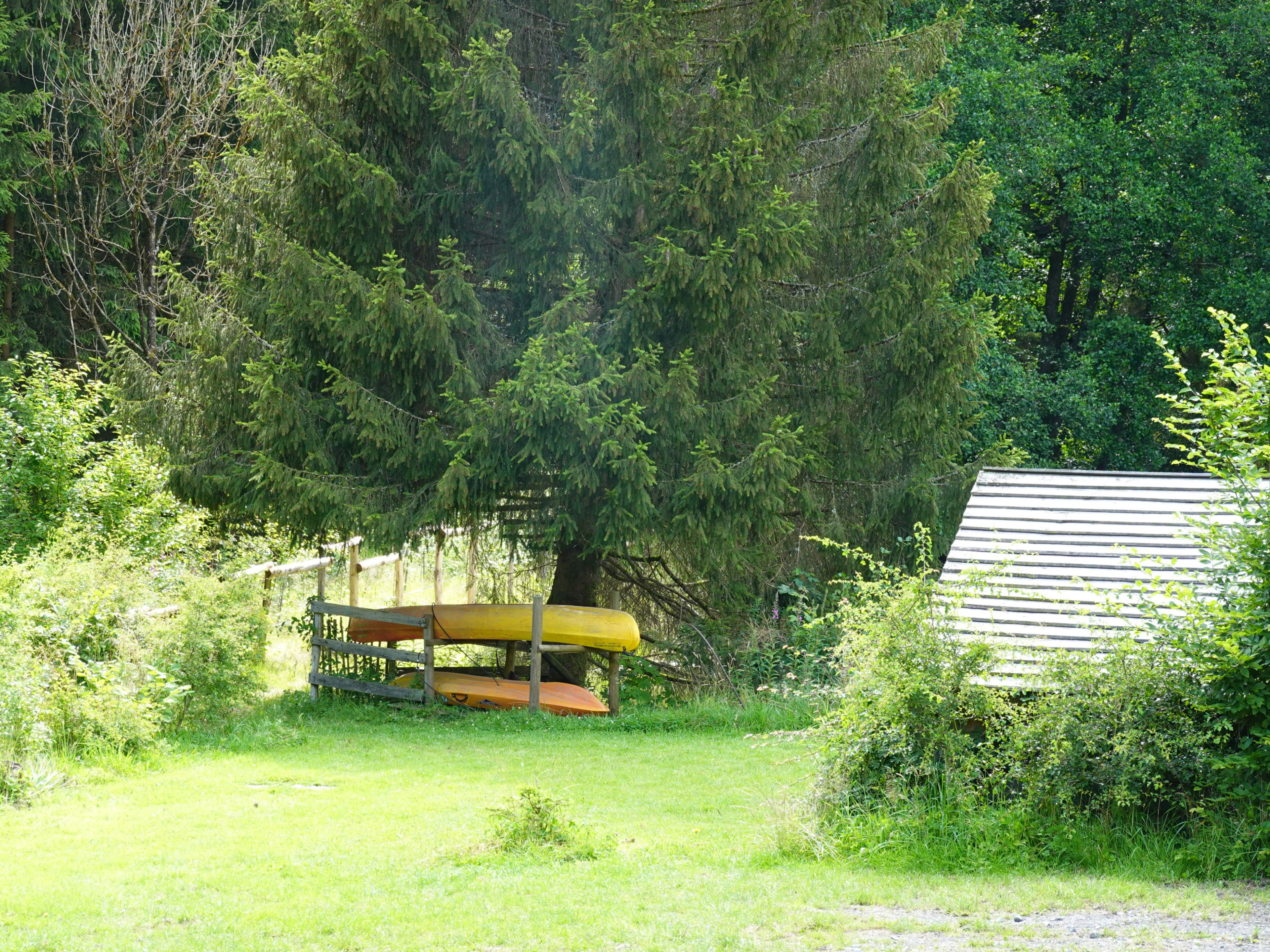 - image: 59
