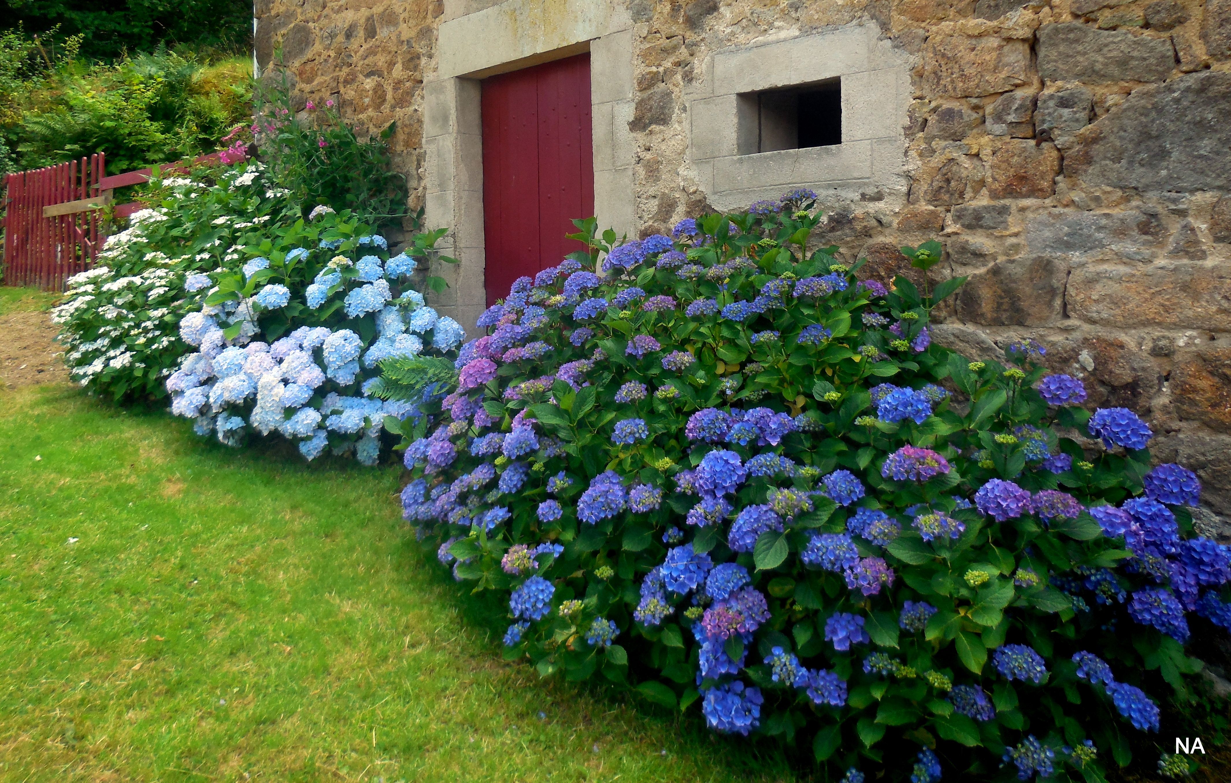 Maison nature à Montreuillon