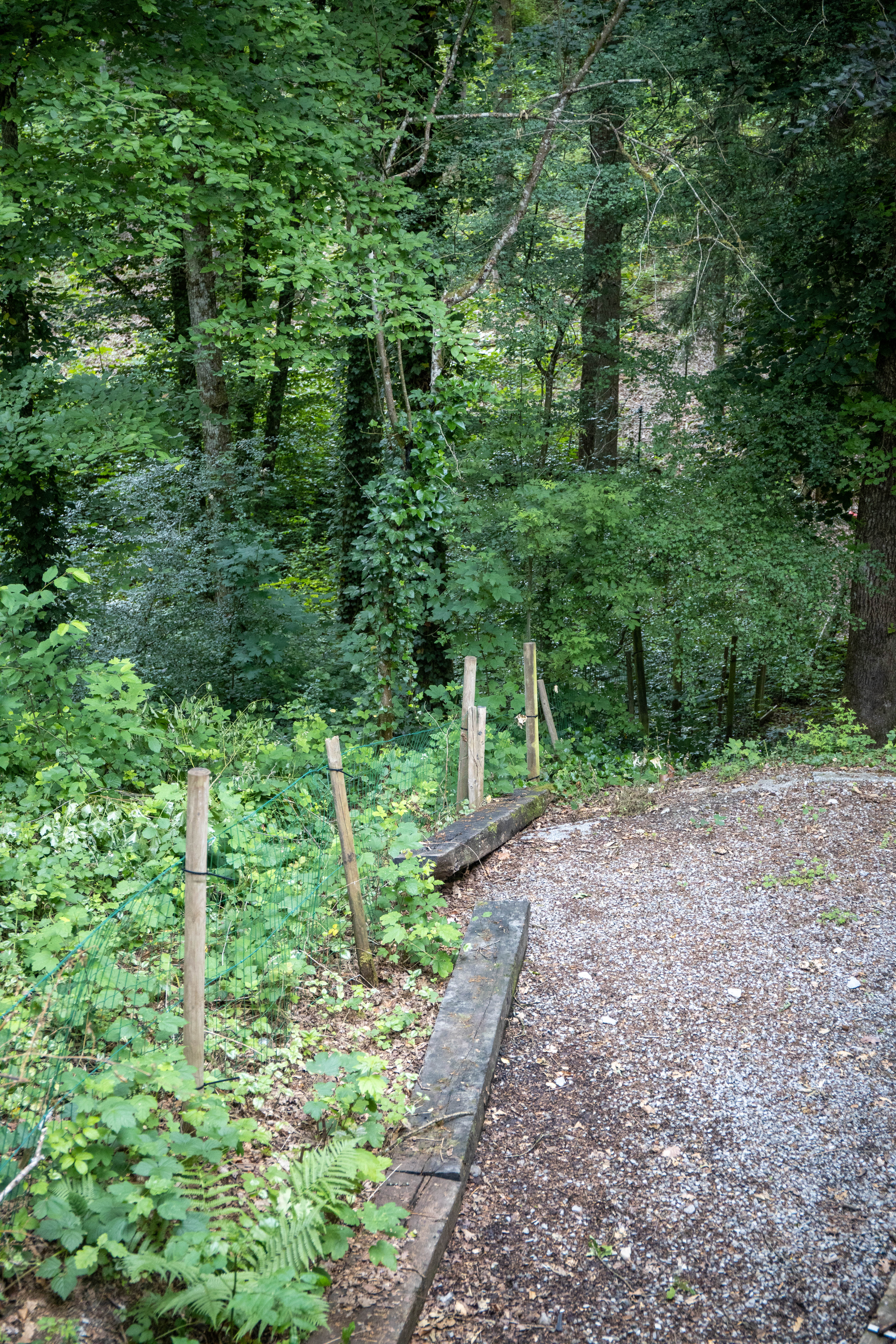 - image: 16