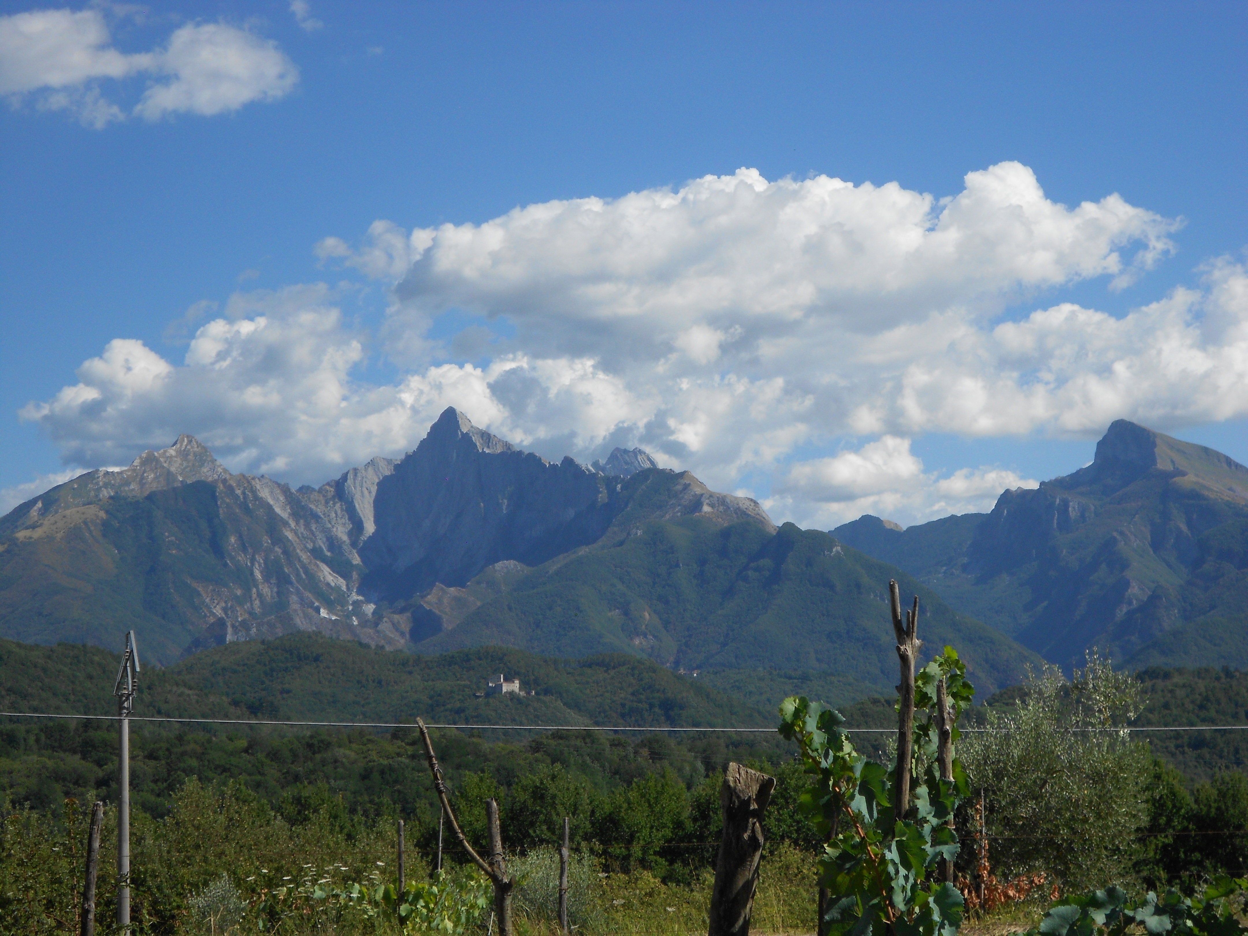 - image: 11