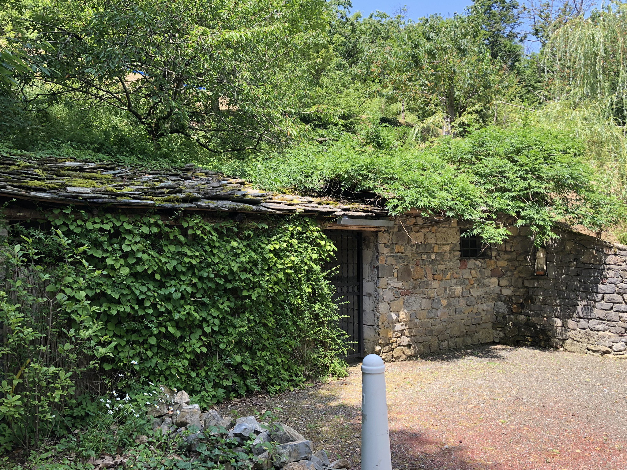 - image: 24
