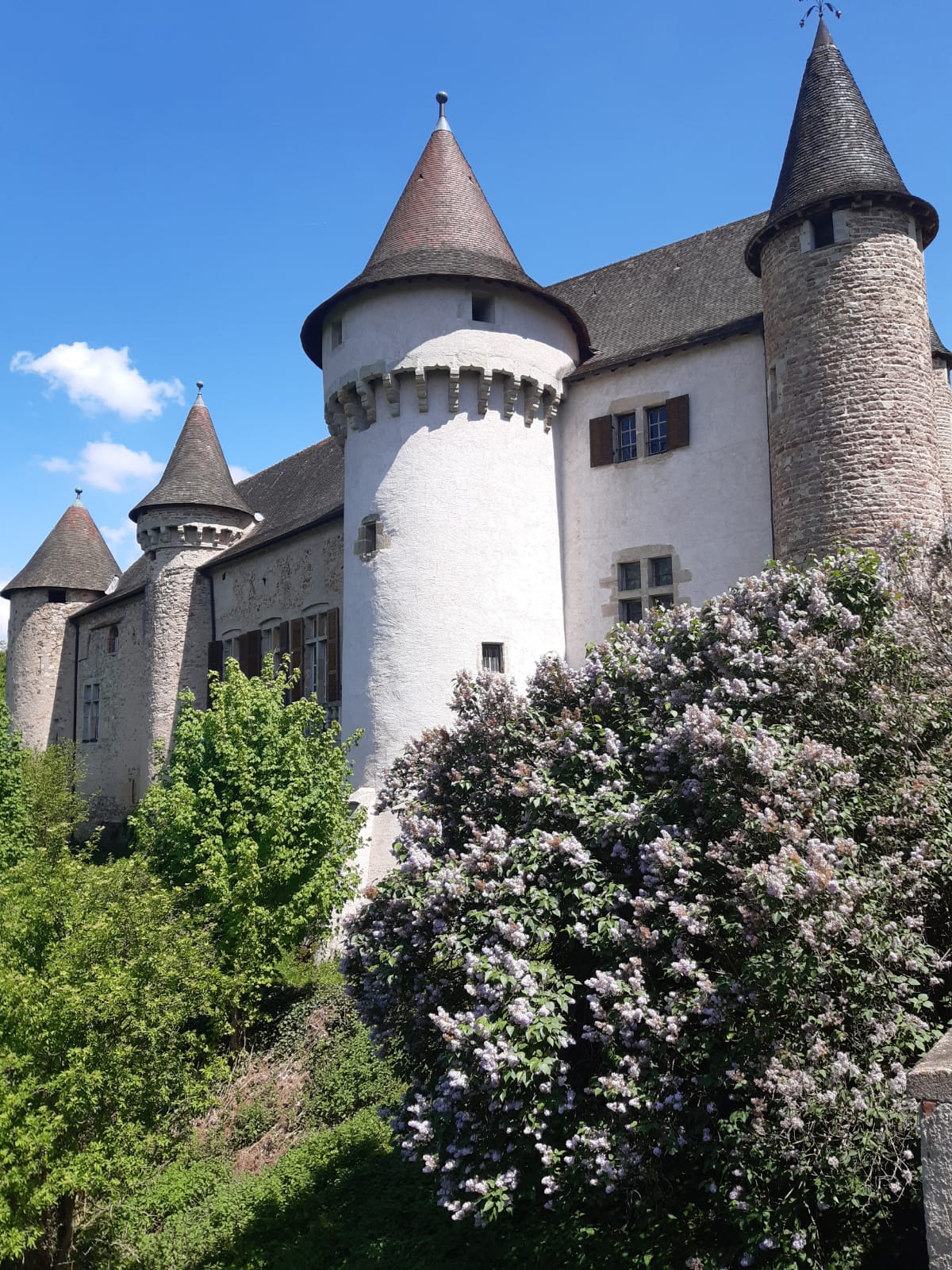 - image: 26