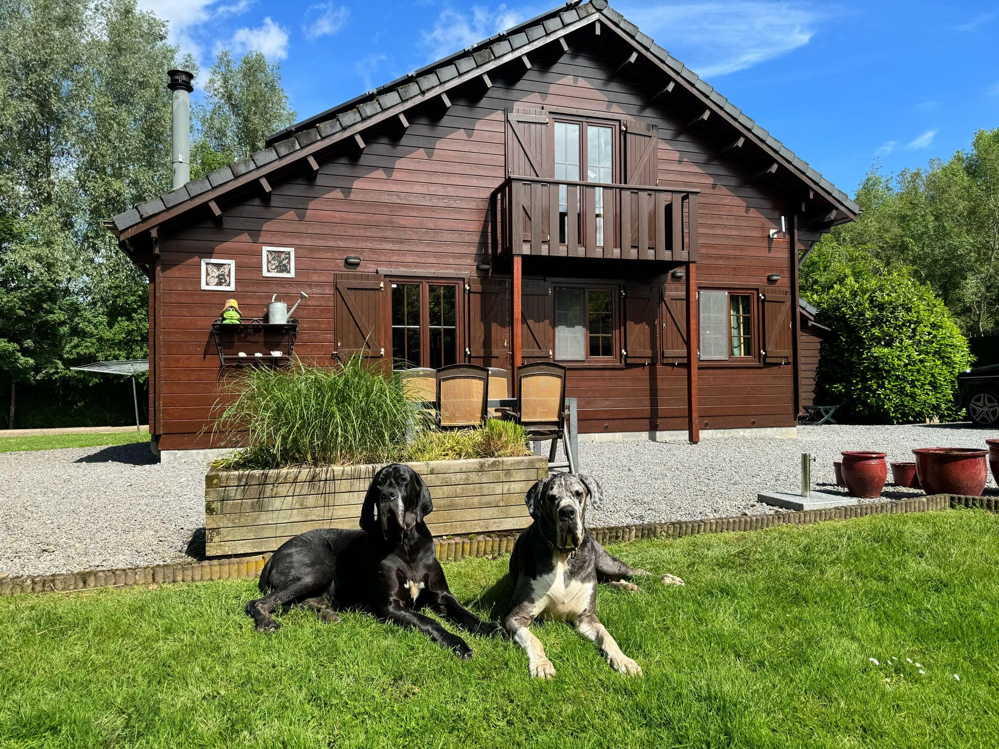 Maison nature à Erezée