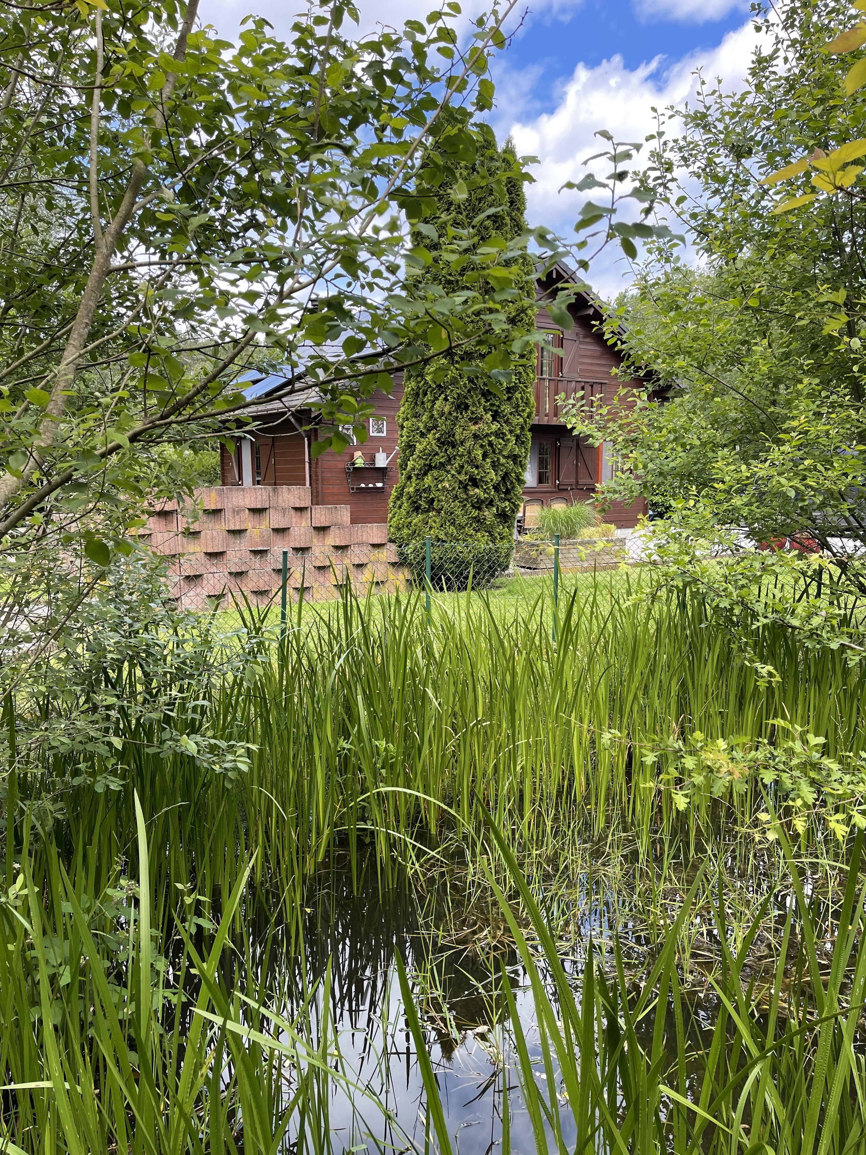 Maison nature à Erezée