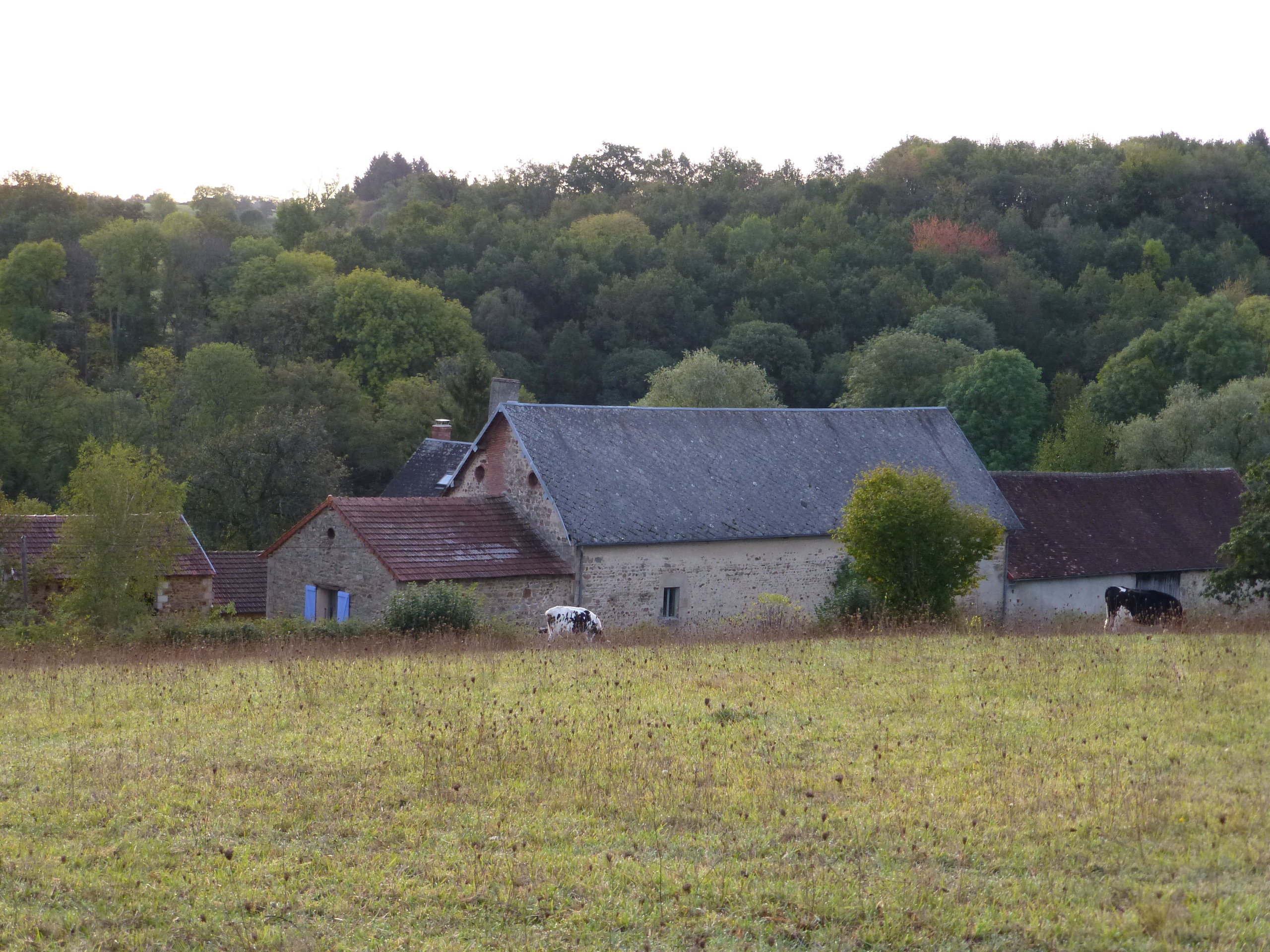 Natuurhuisje in St. Hilaire pres Pionsat