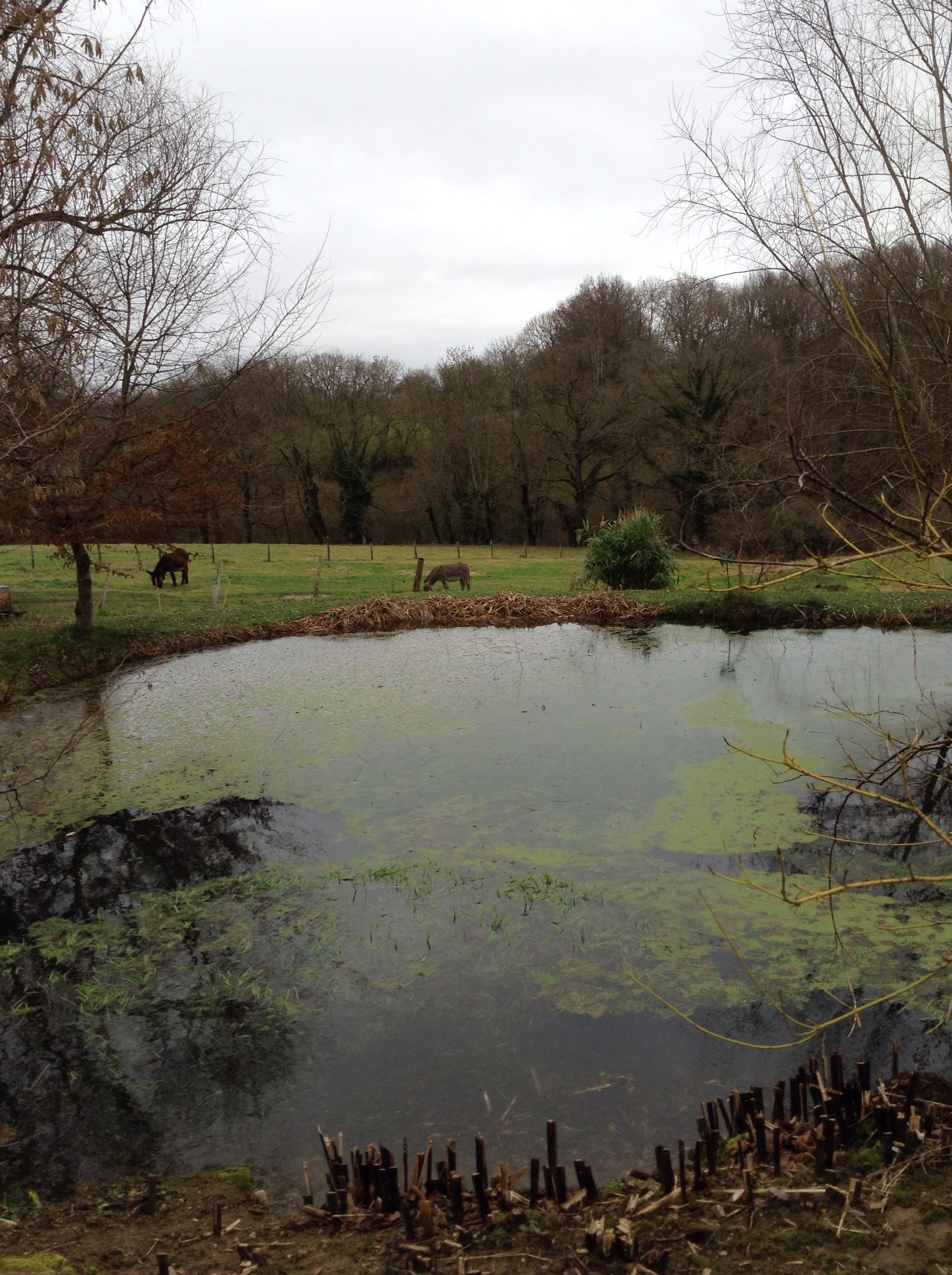 Natuurhuisje in St. Hilaire pres Pionsat