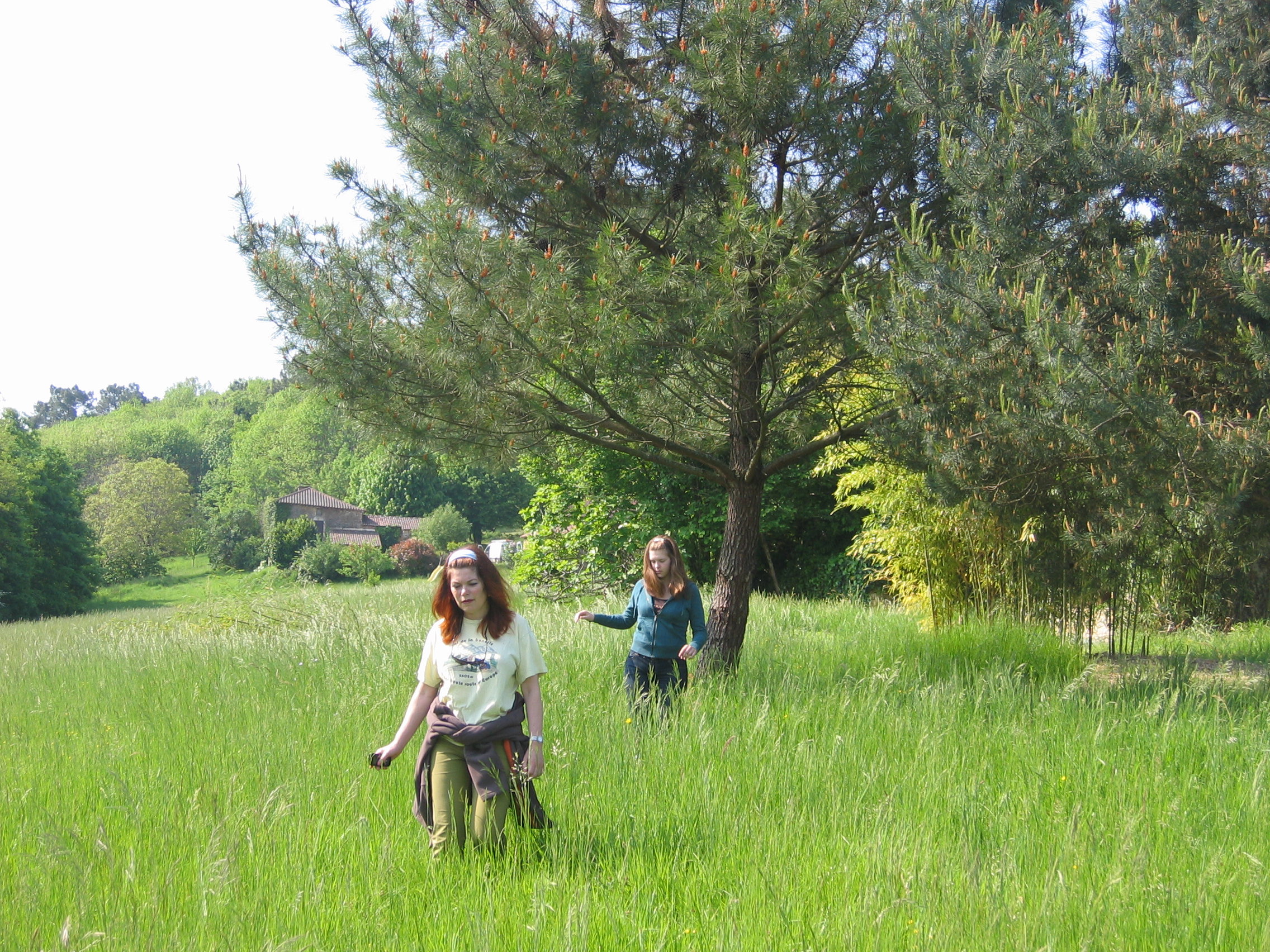 Natuurhuisje in Orliac