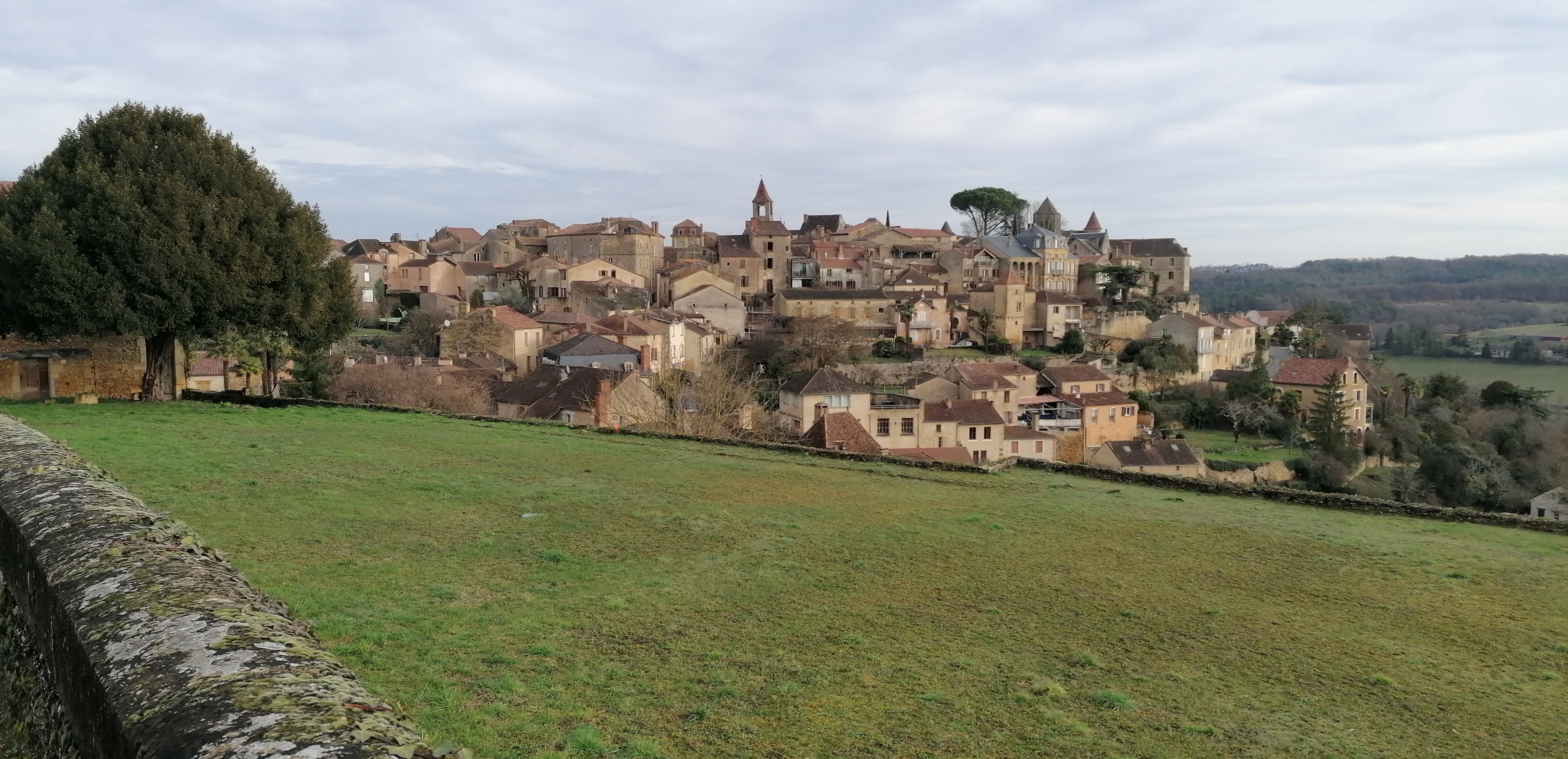 - image: 20