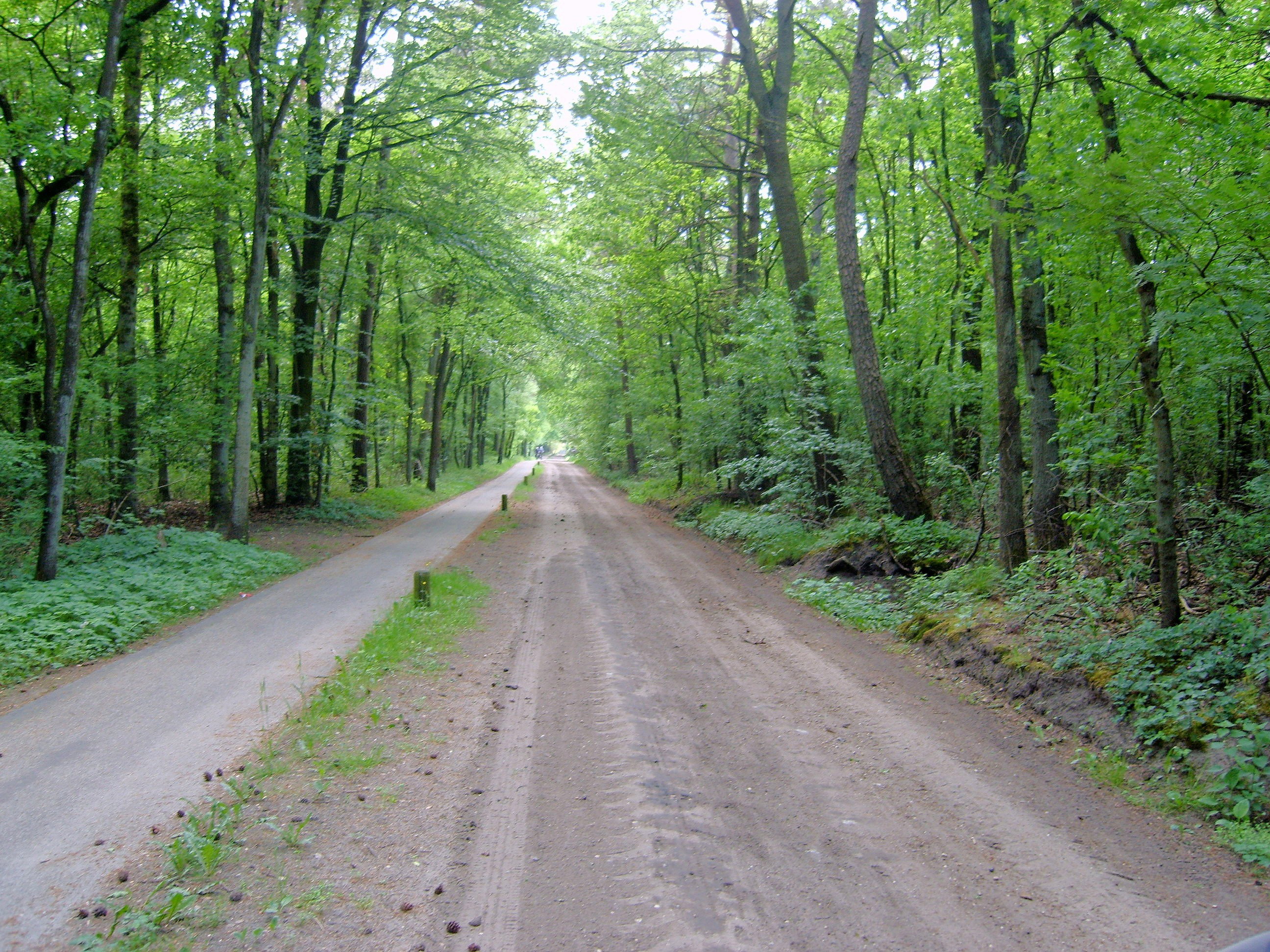 Natuurhuisje in Emst