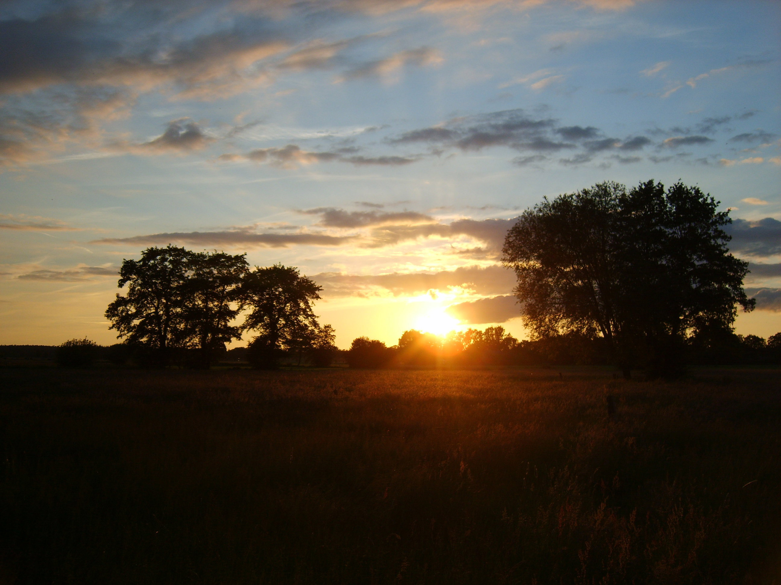 Natuurhuisje in Emst