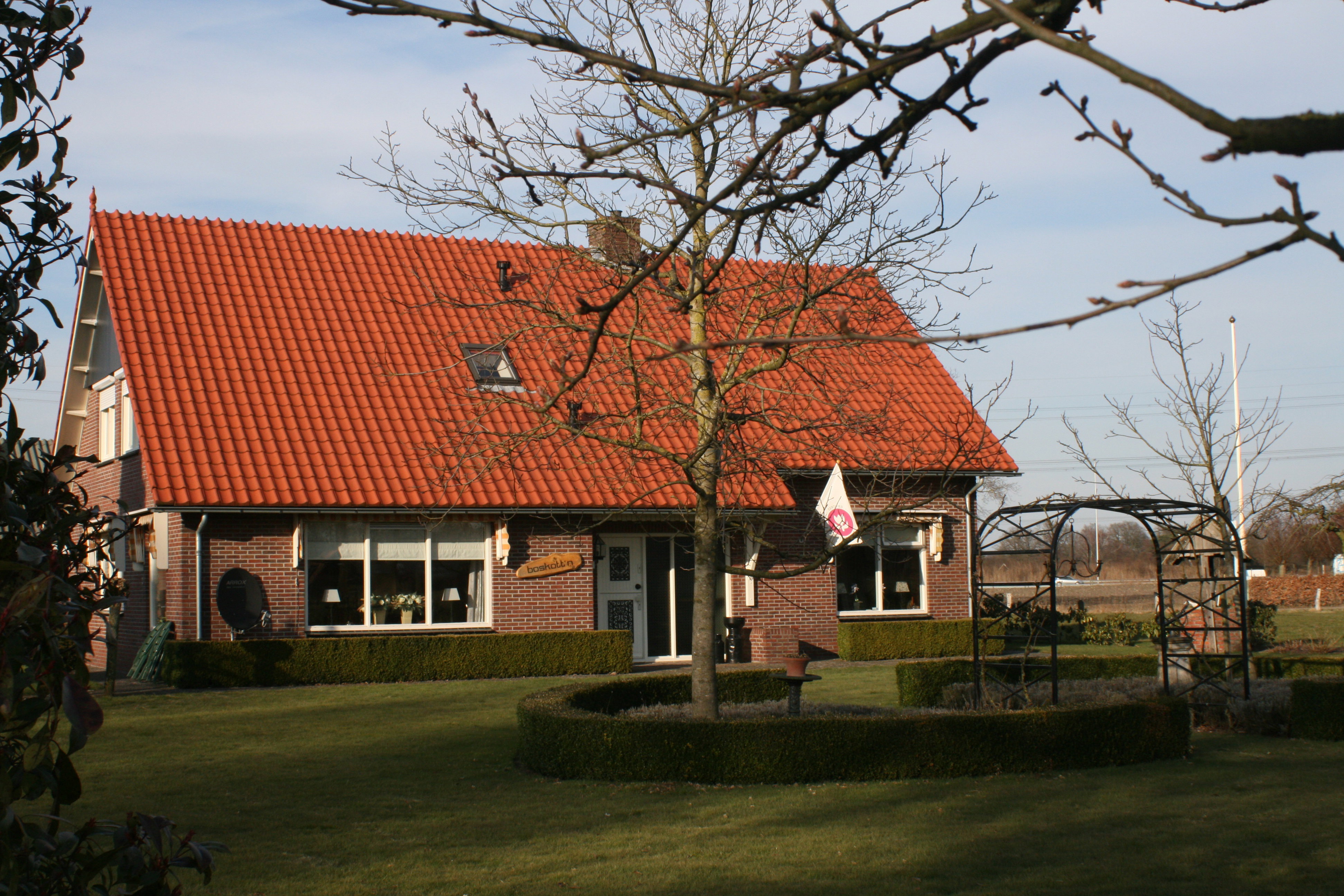 - image: 11